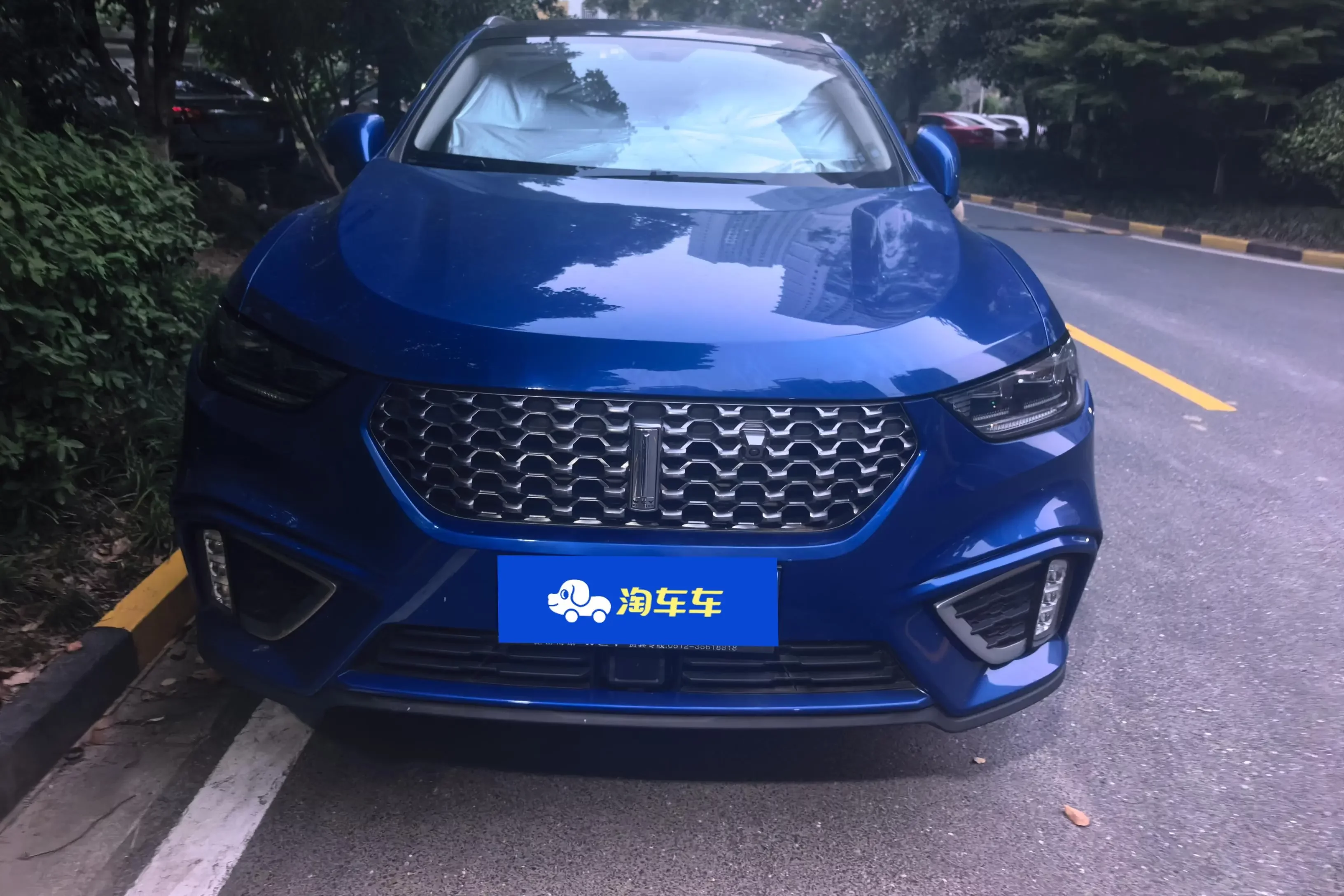 Wey Wei brand VV5