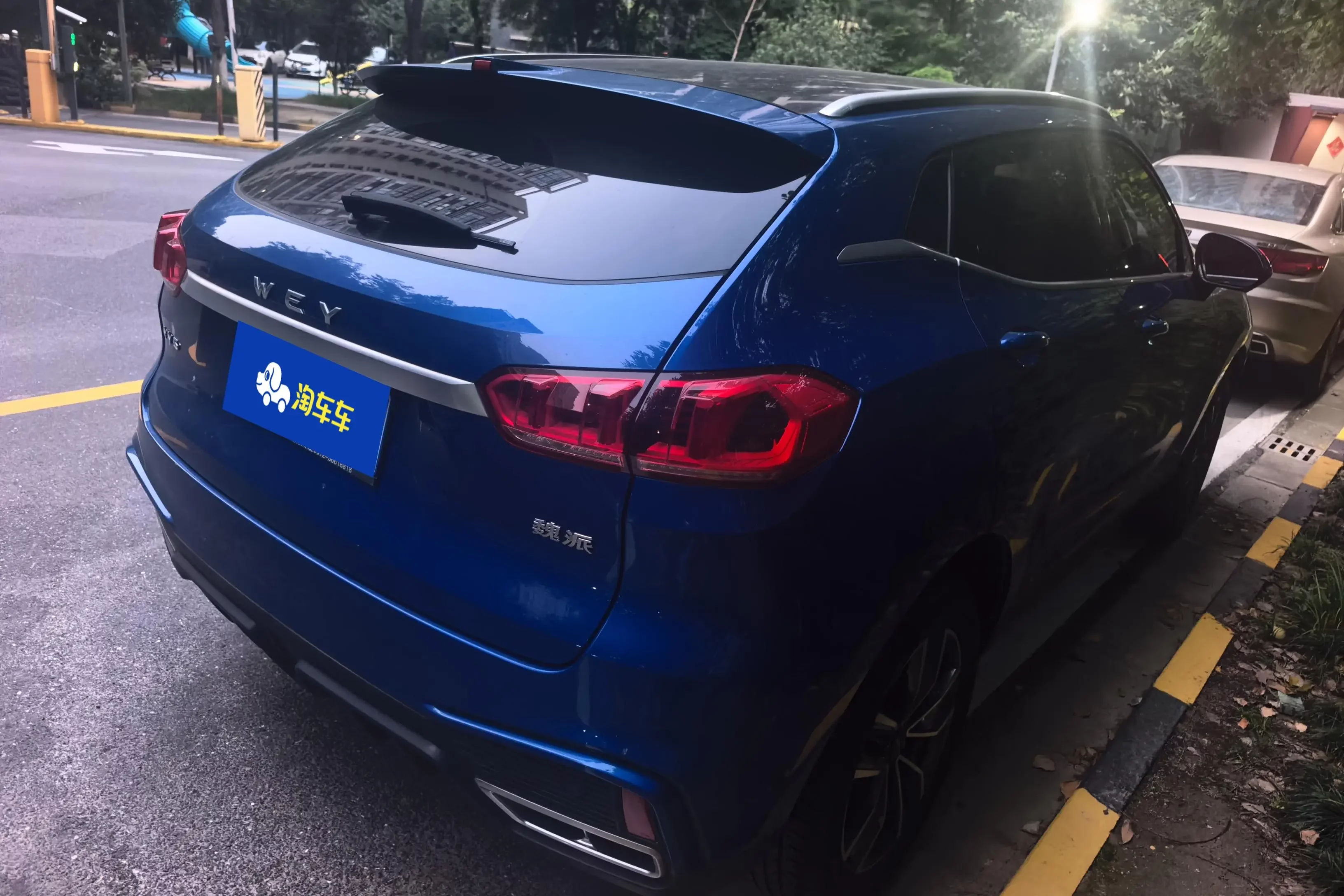 Wey Wei brand VV5