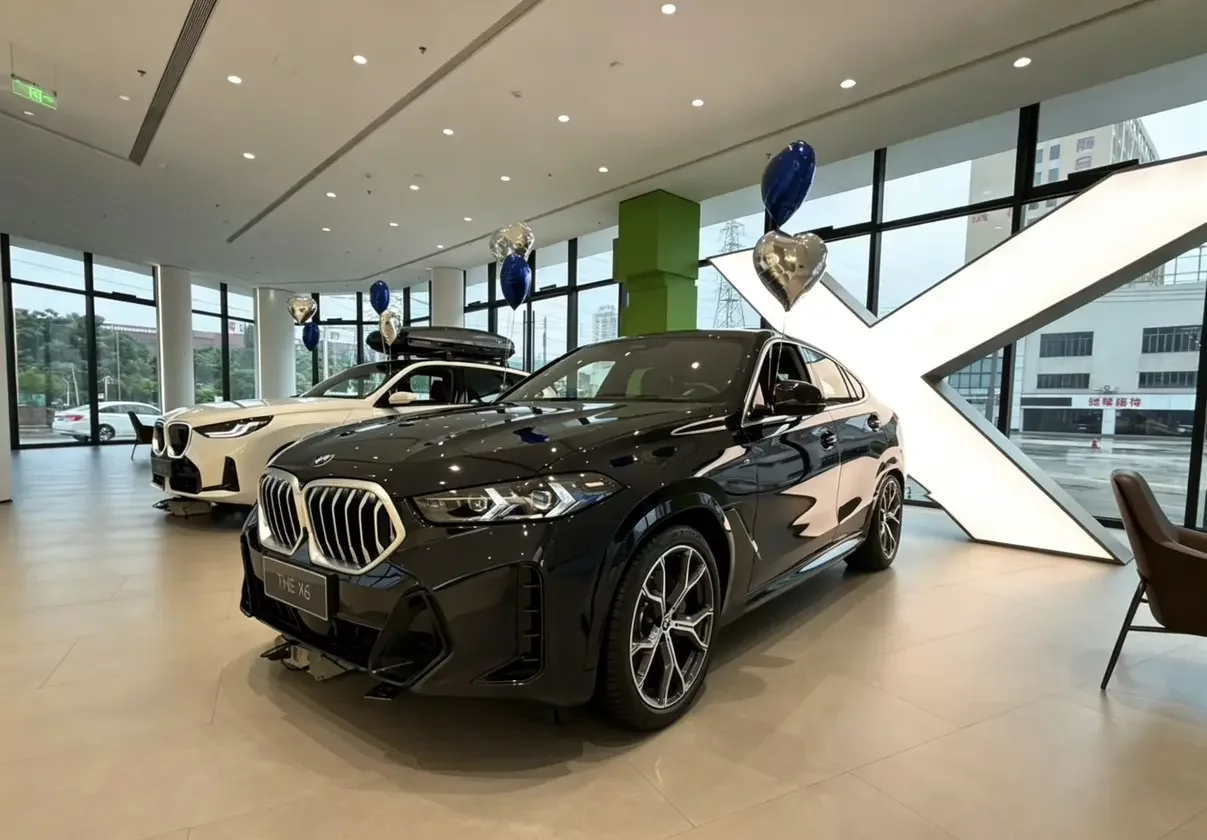 BMW X6