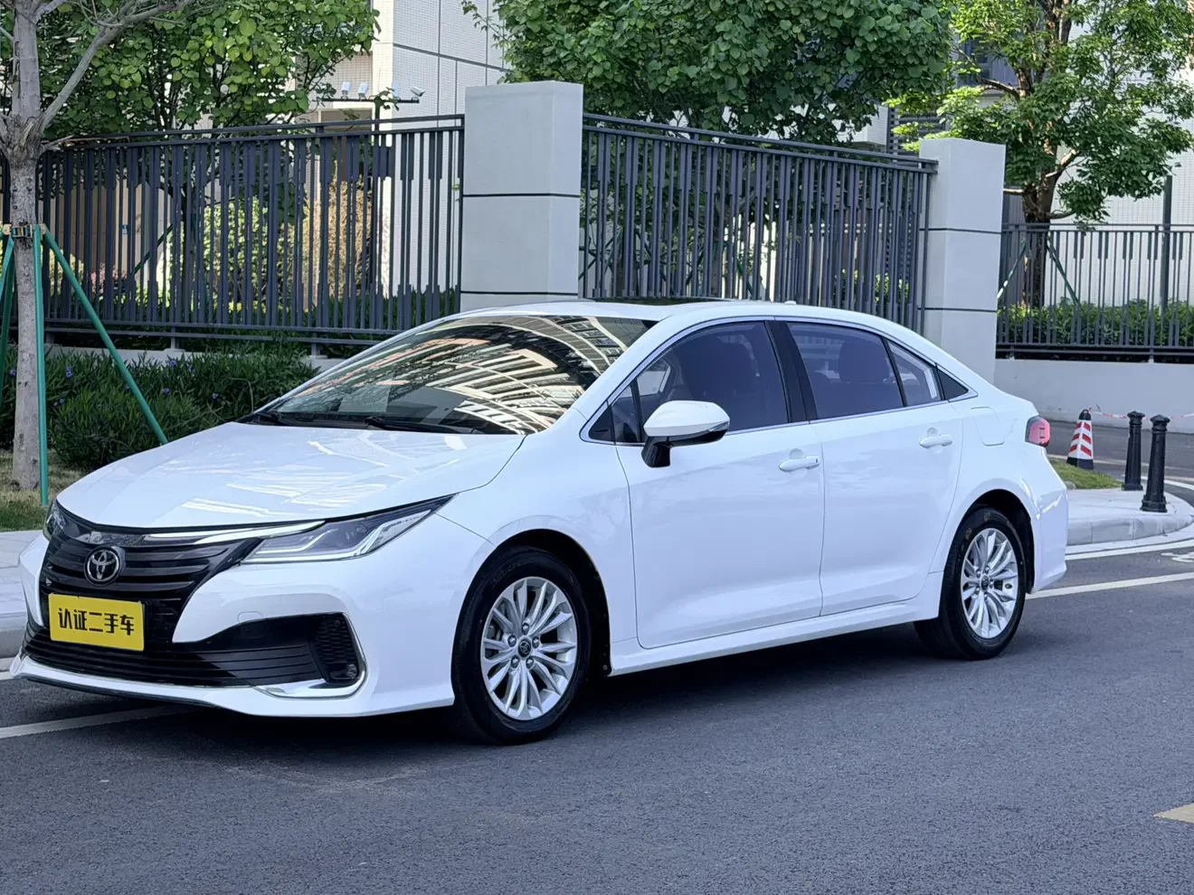 Toyota Asiatic lion