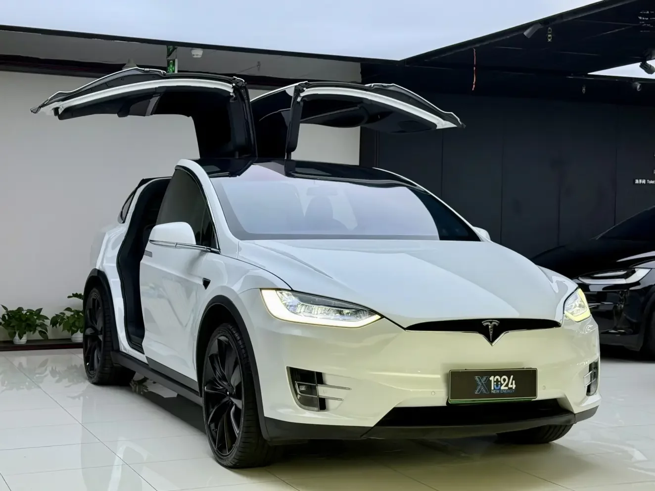 Tesla Model X