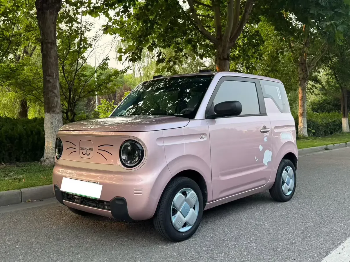 Geely panda