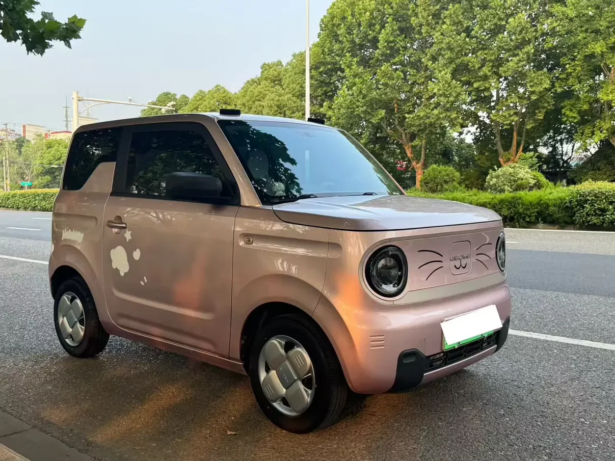 Geely panda