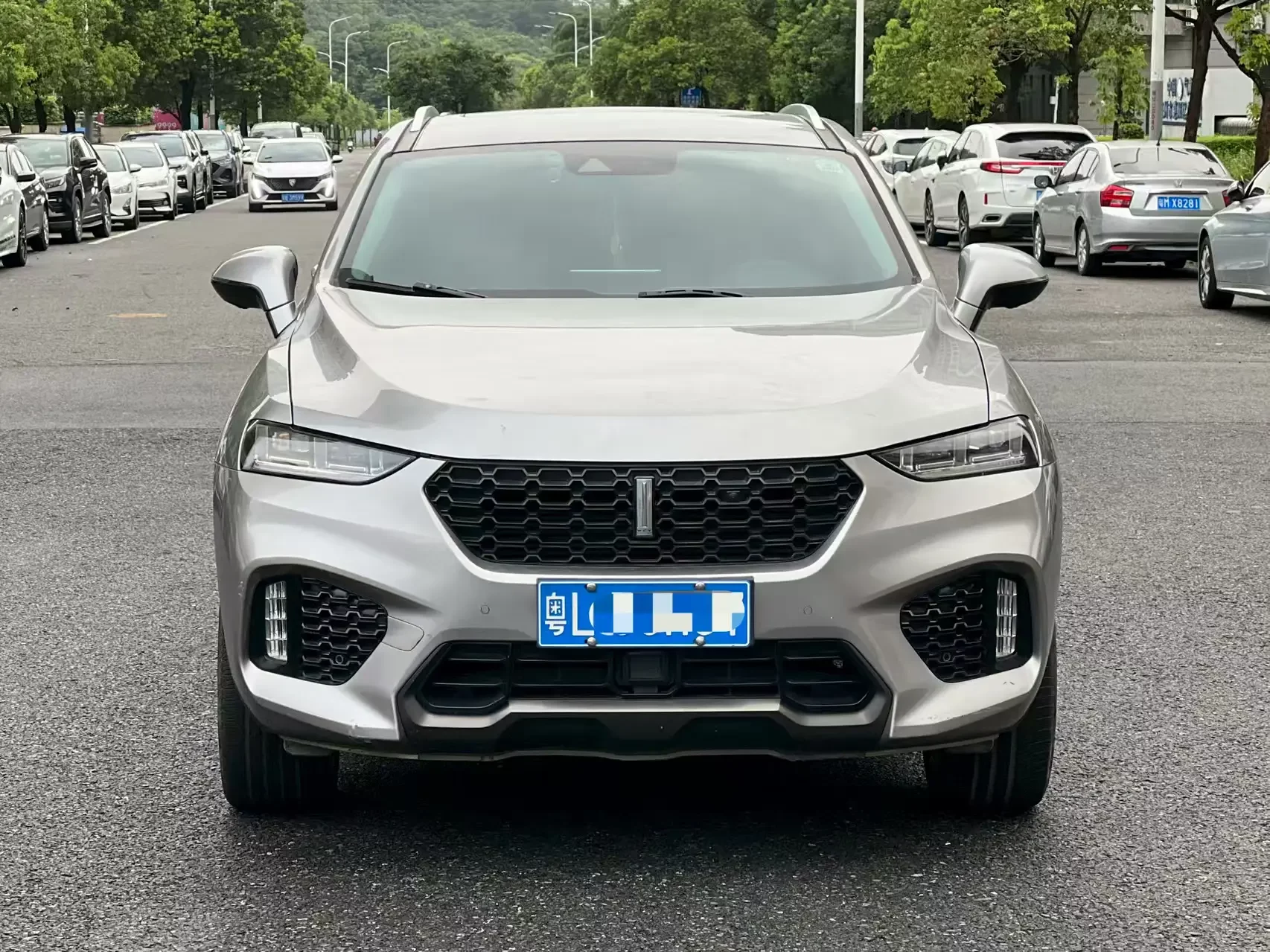 Wey Wei brand VV7