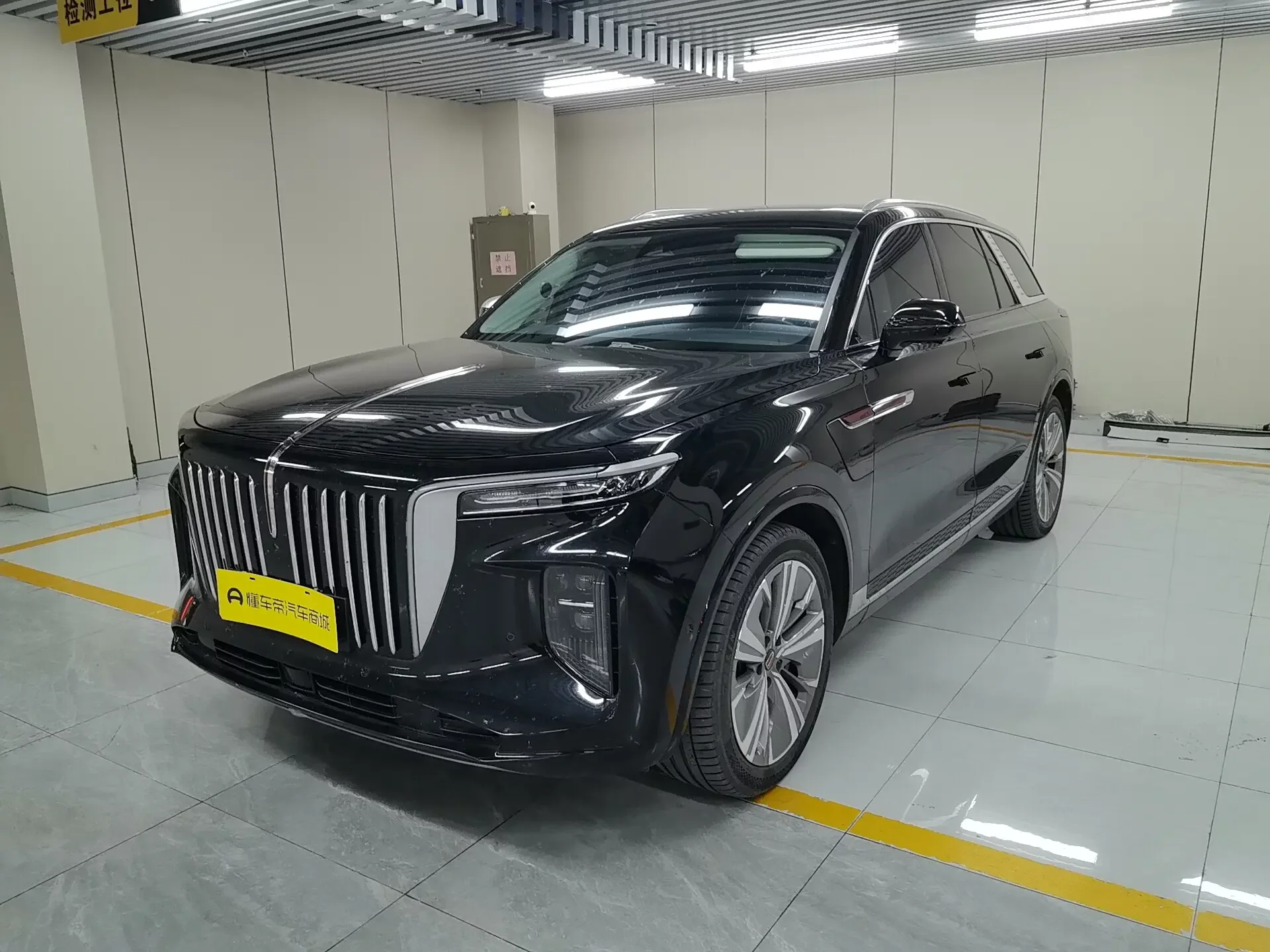 Hongqi E-HS9