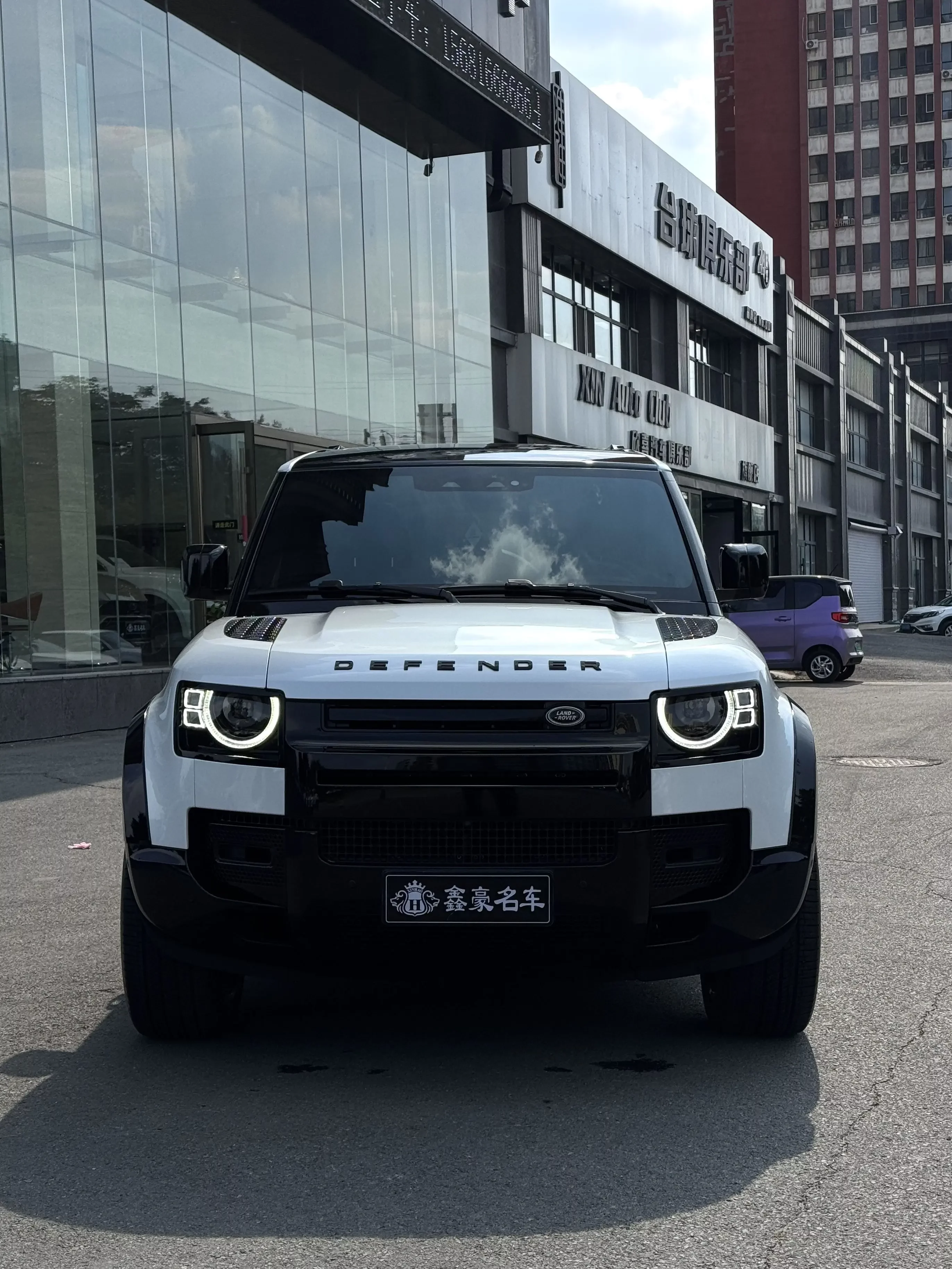 Land Rover guard