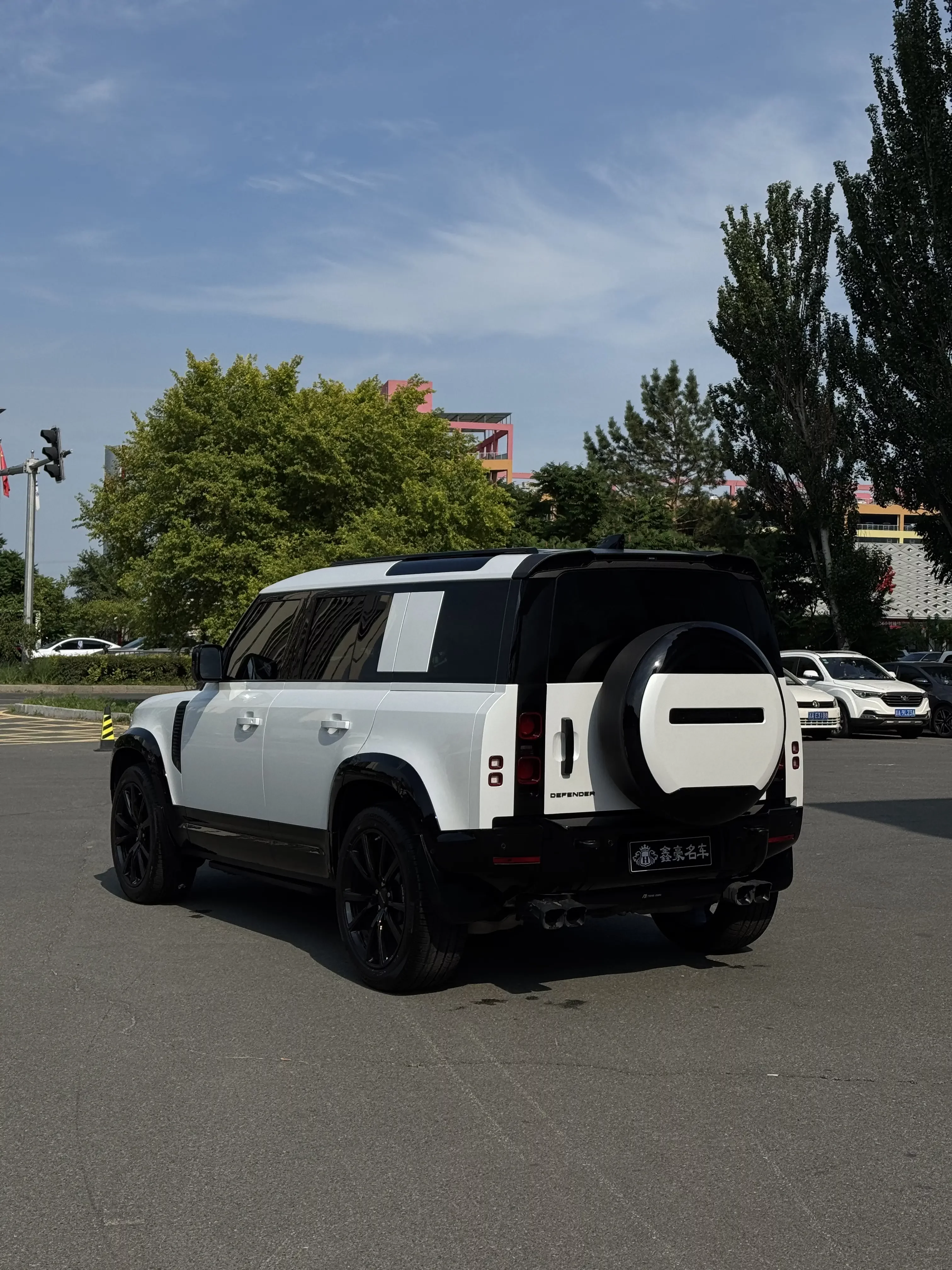 Land Rover guard
