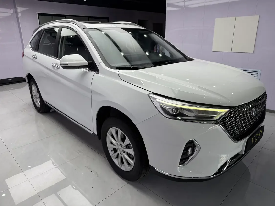 Haval M6