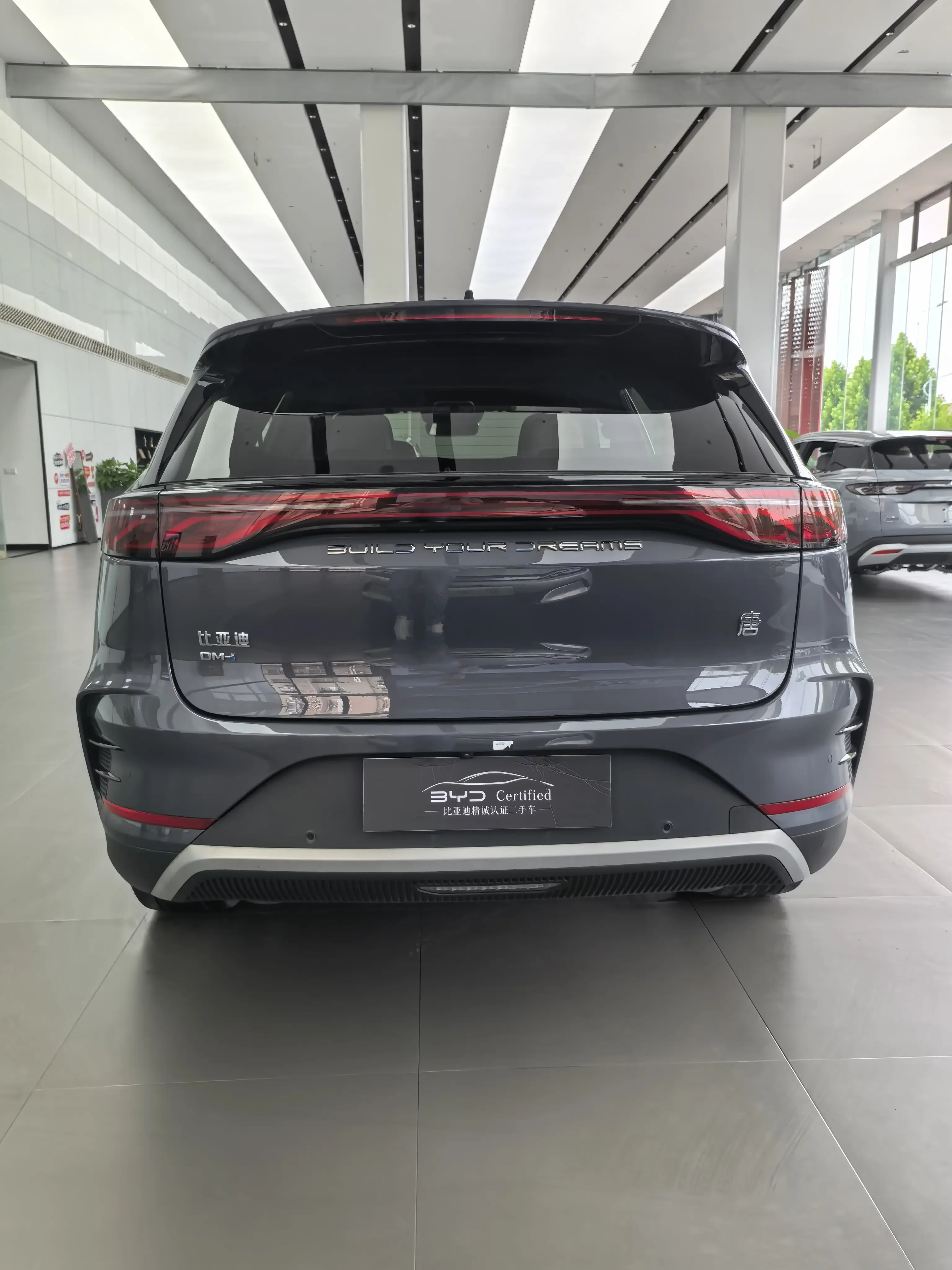 BYD Tang DM