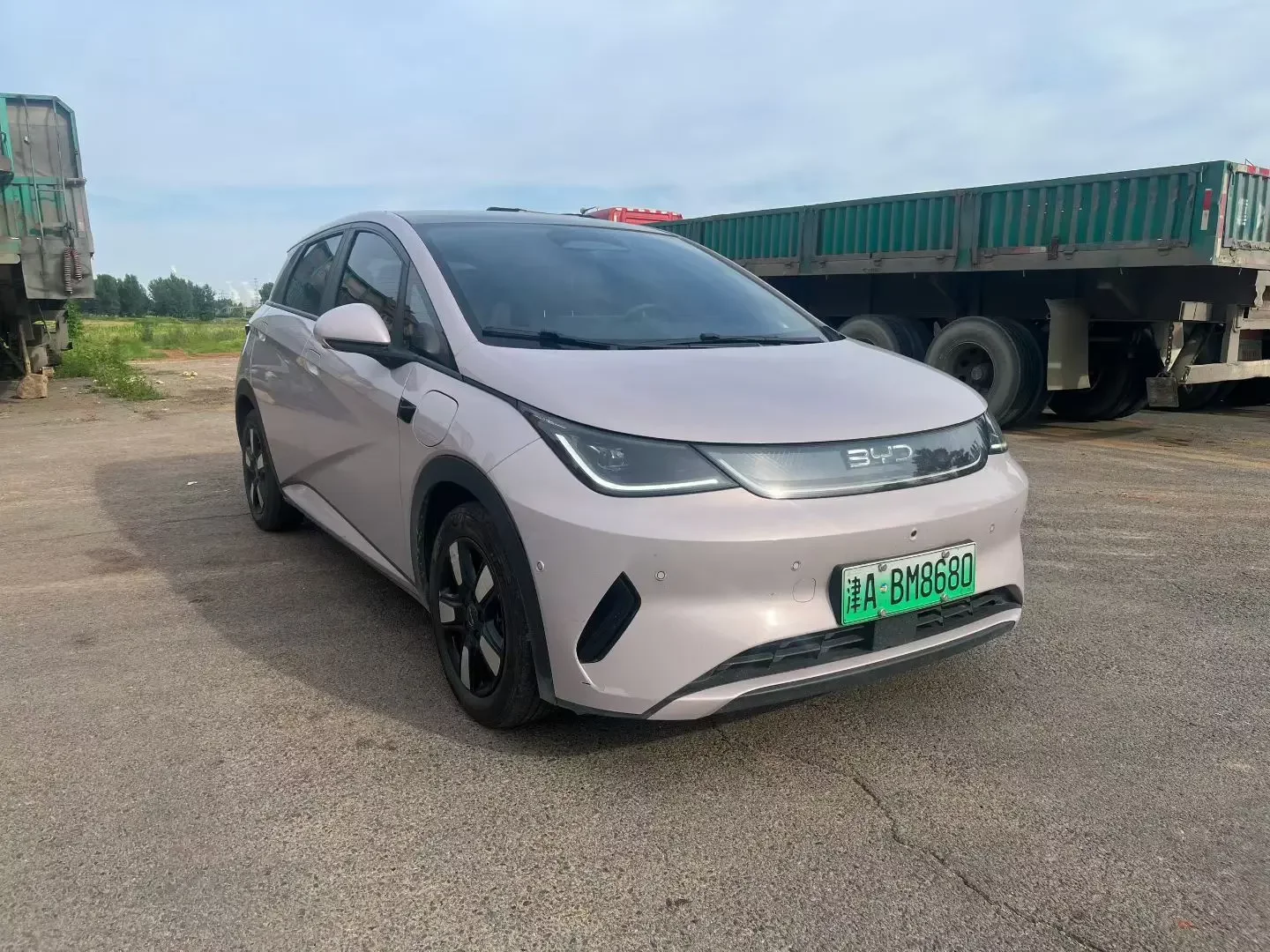 BYD dolphin