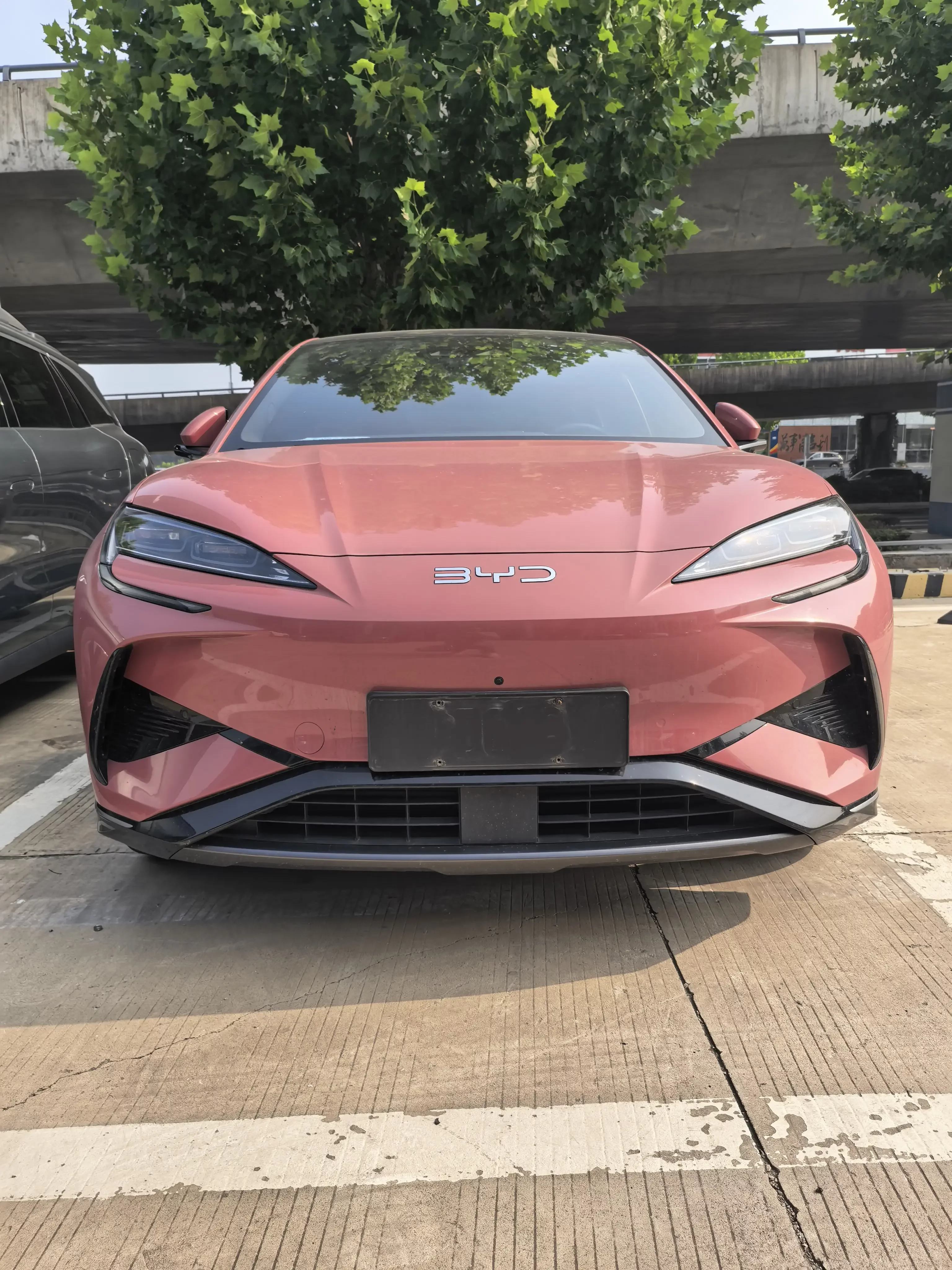 BYD Sea Lion 07EV