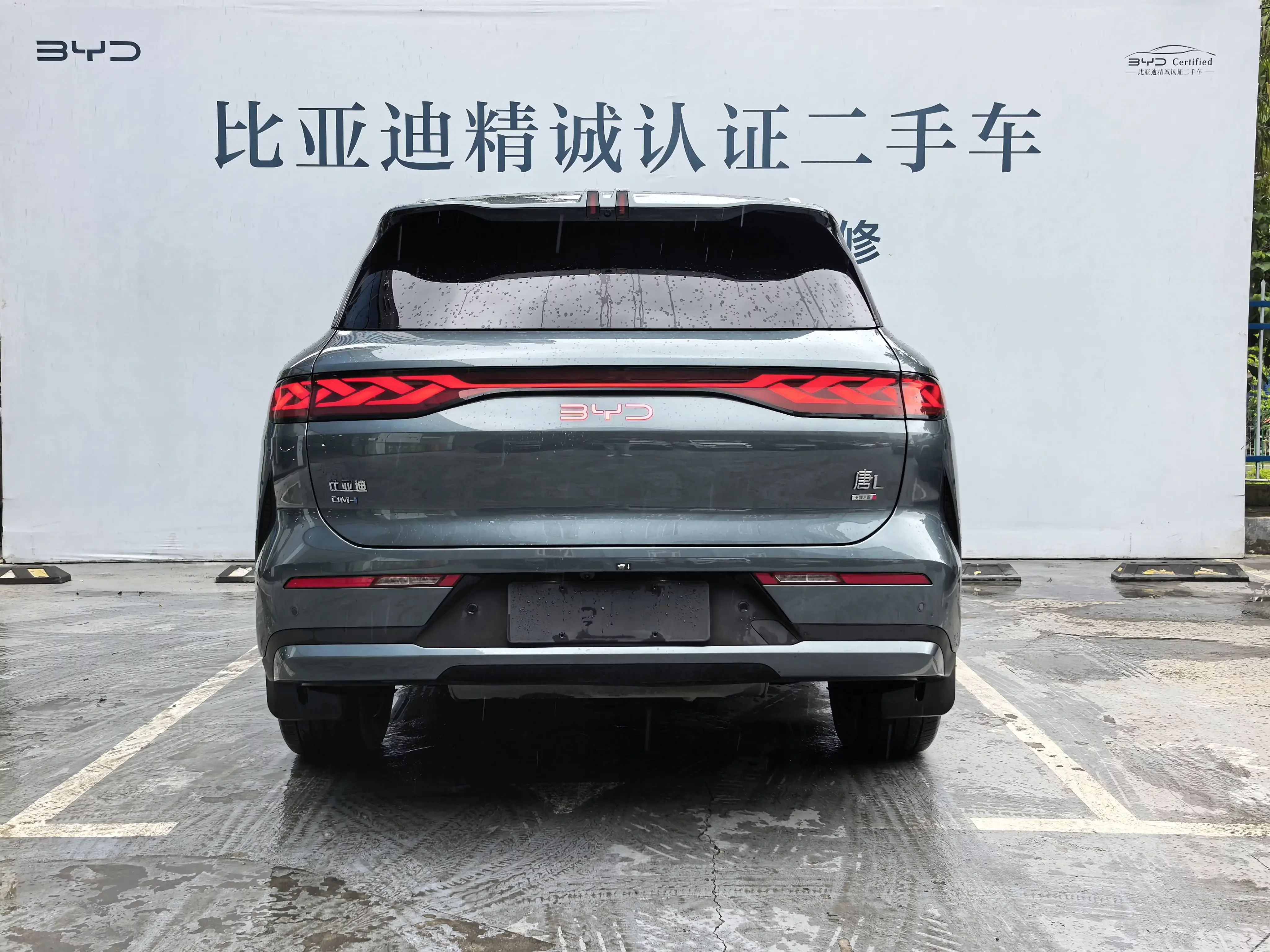 BYD Tang L DM