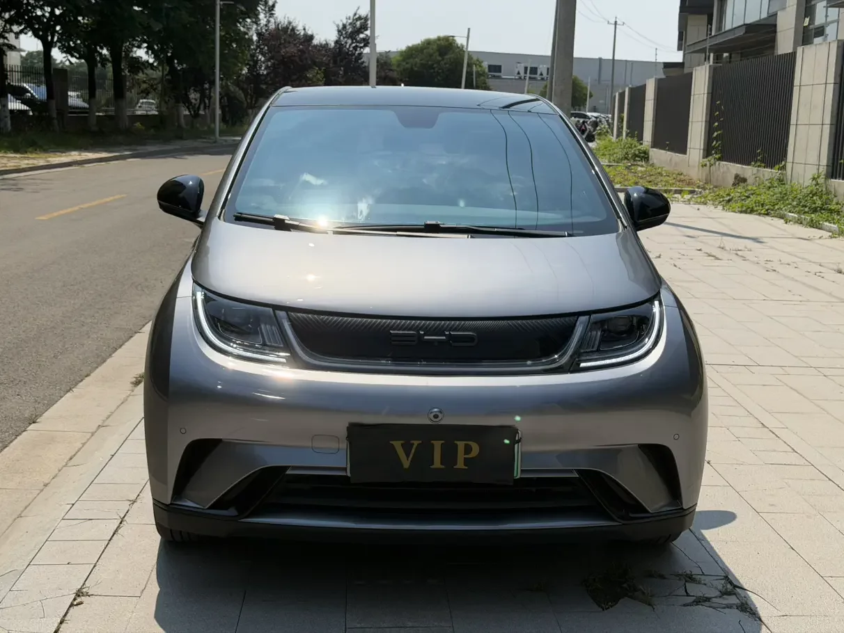 BYD dolphin
