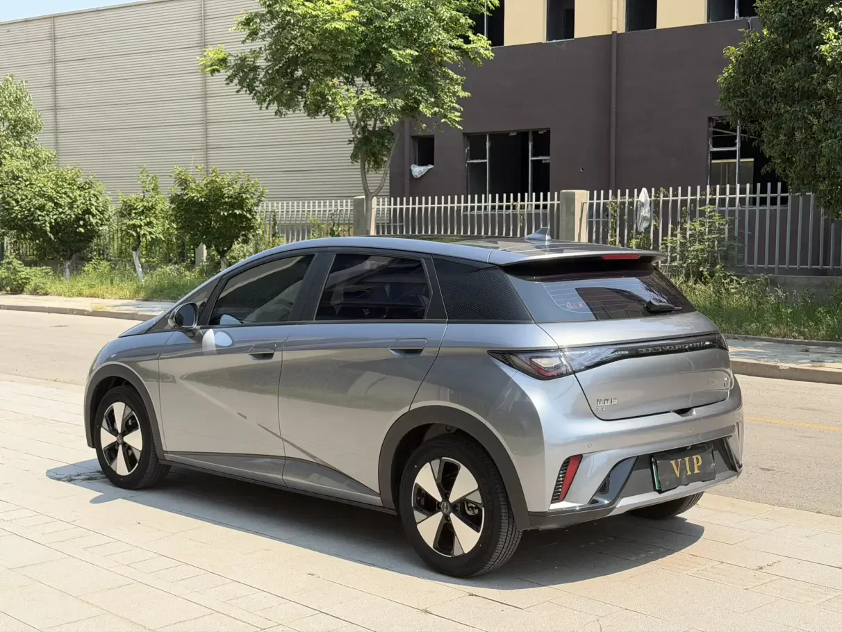BYD dolphin