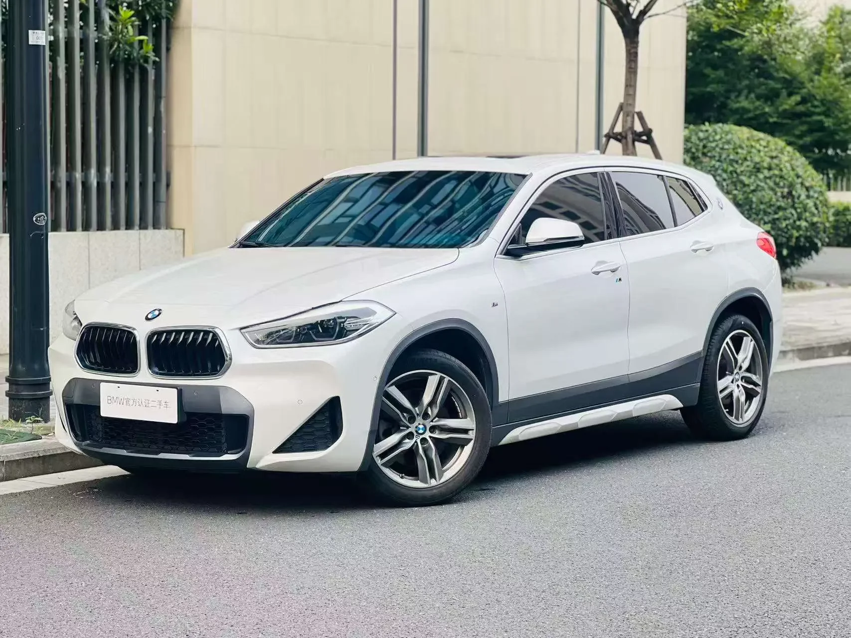 BMW X2