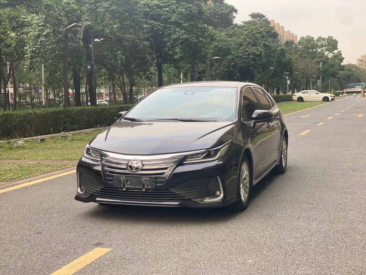 Toyota Asiatic lion