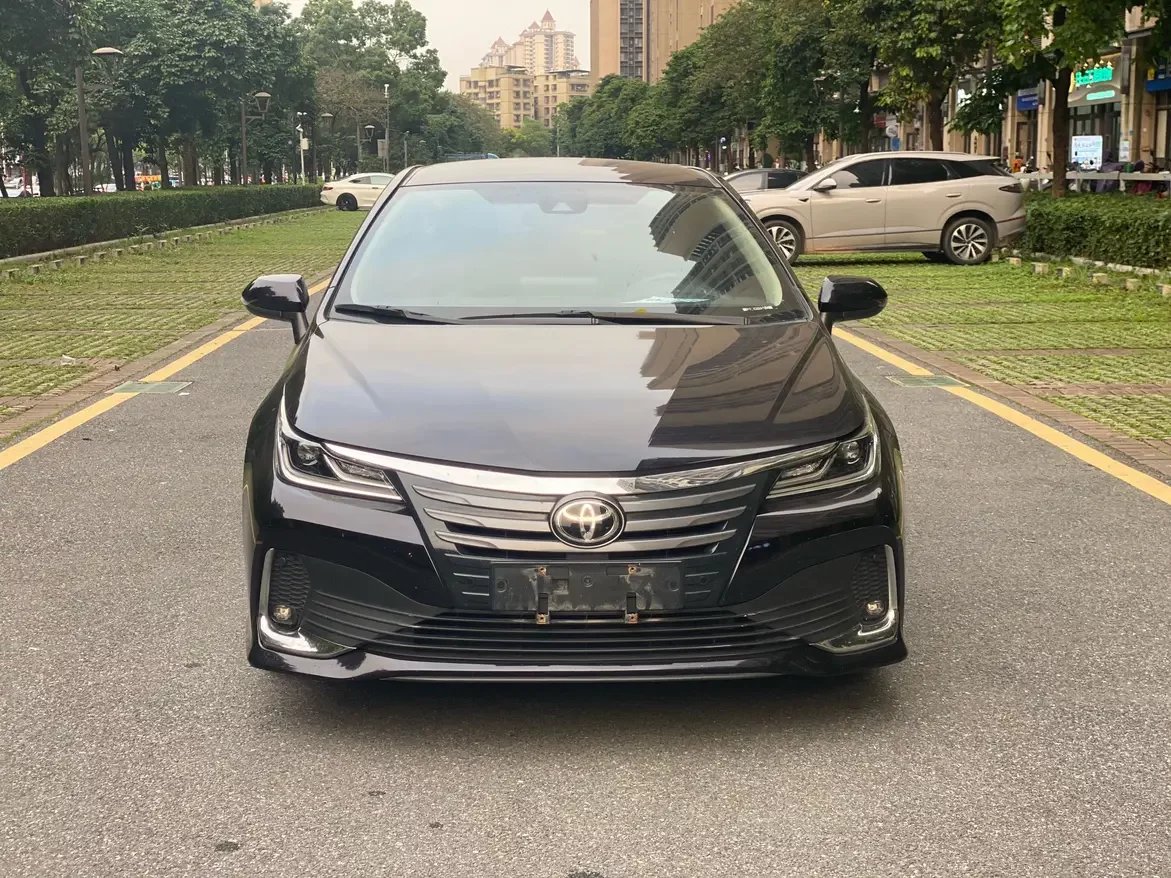 Toyota Asiatic lion