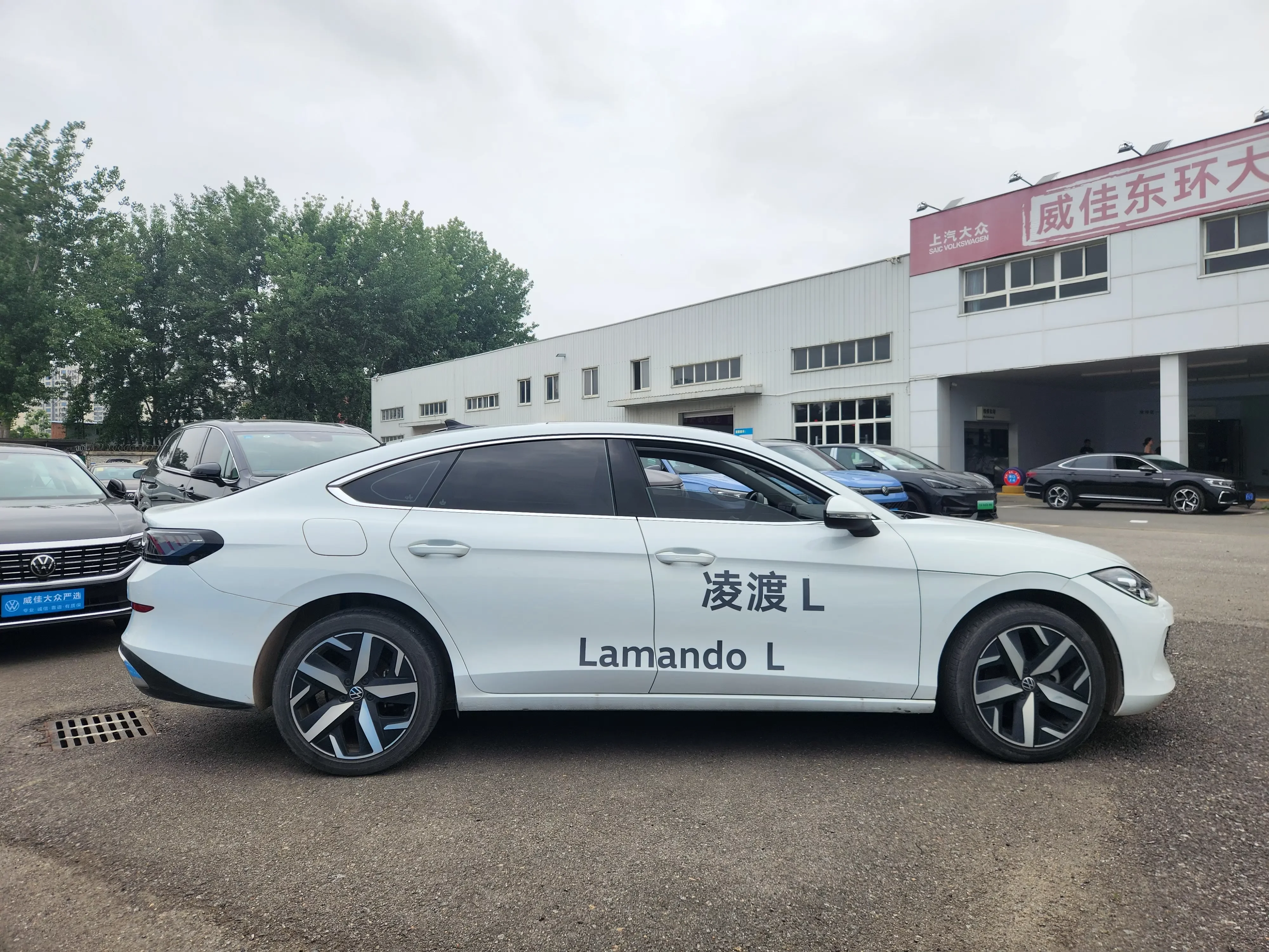 Volkswagen Lamando