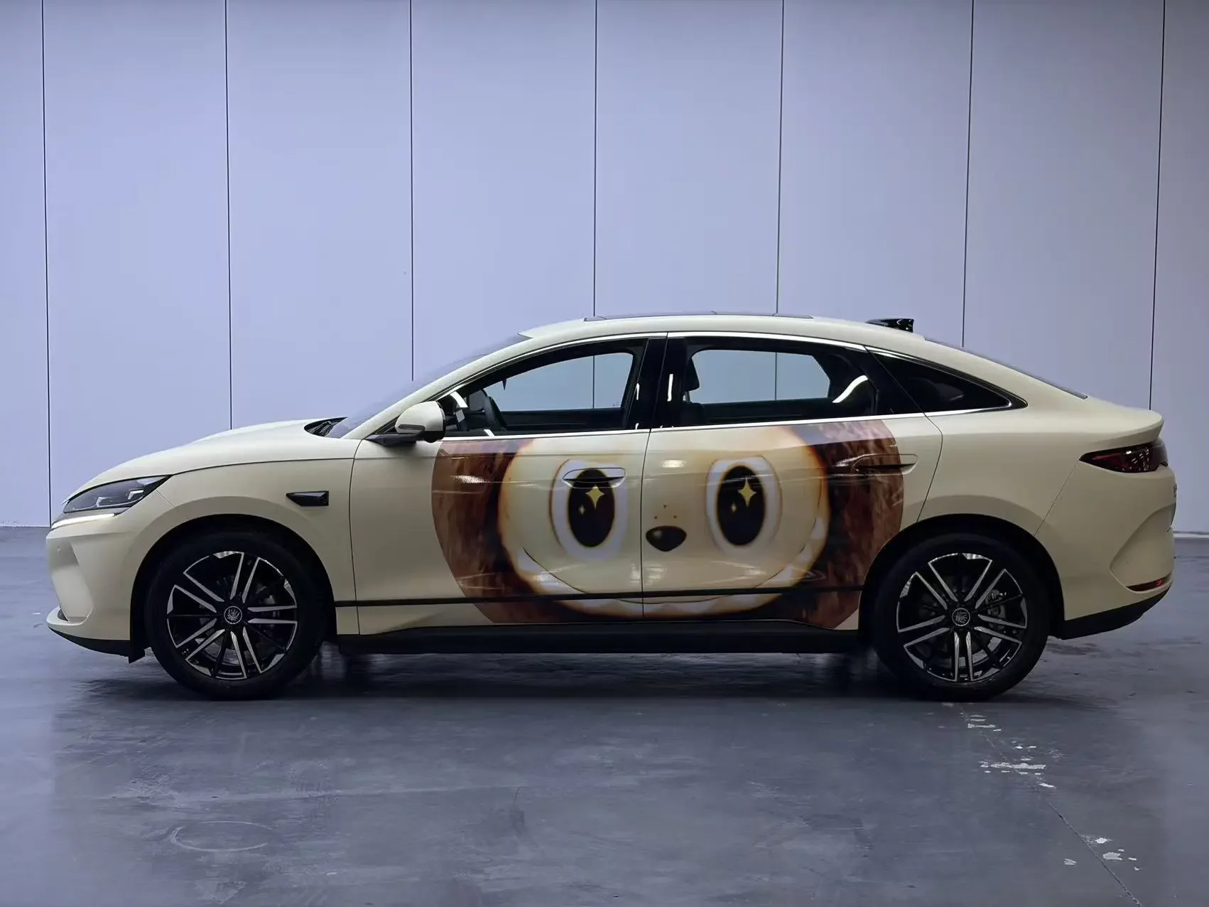 BYD Qin L EV