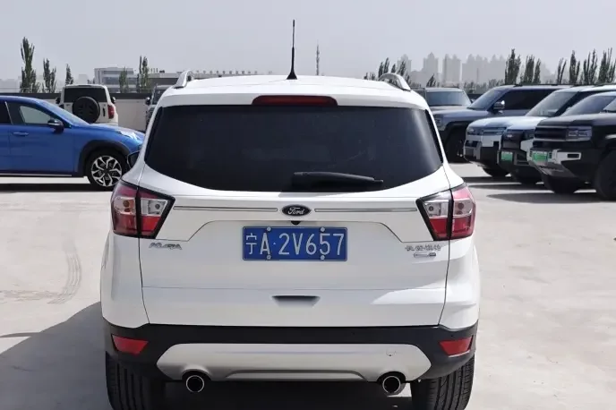 Ford wing tiger