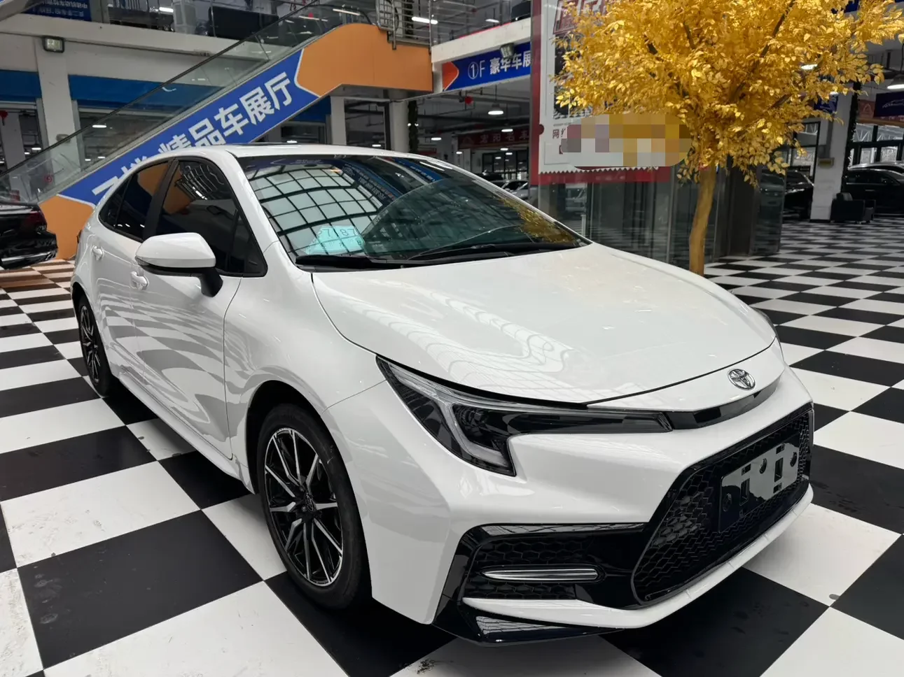Toyota Levin