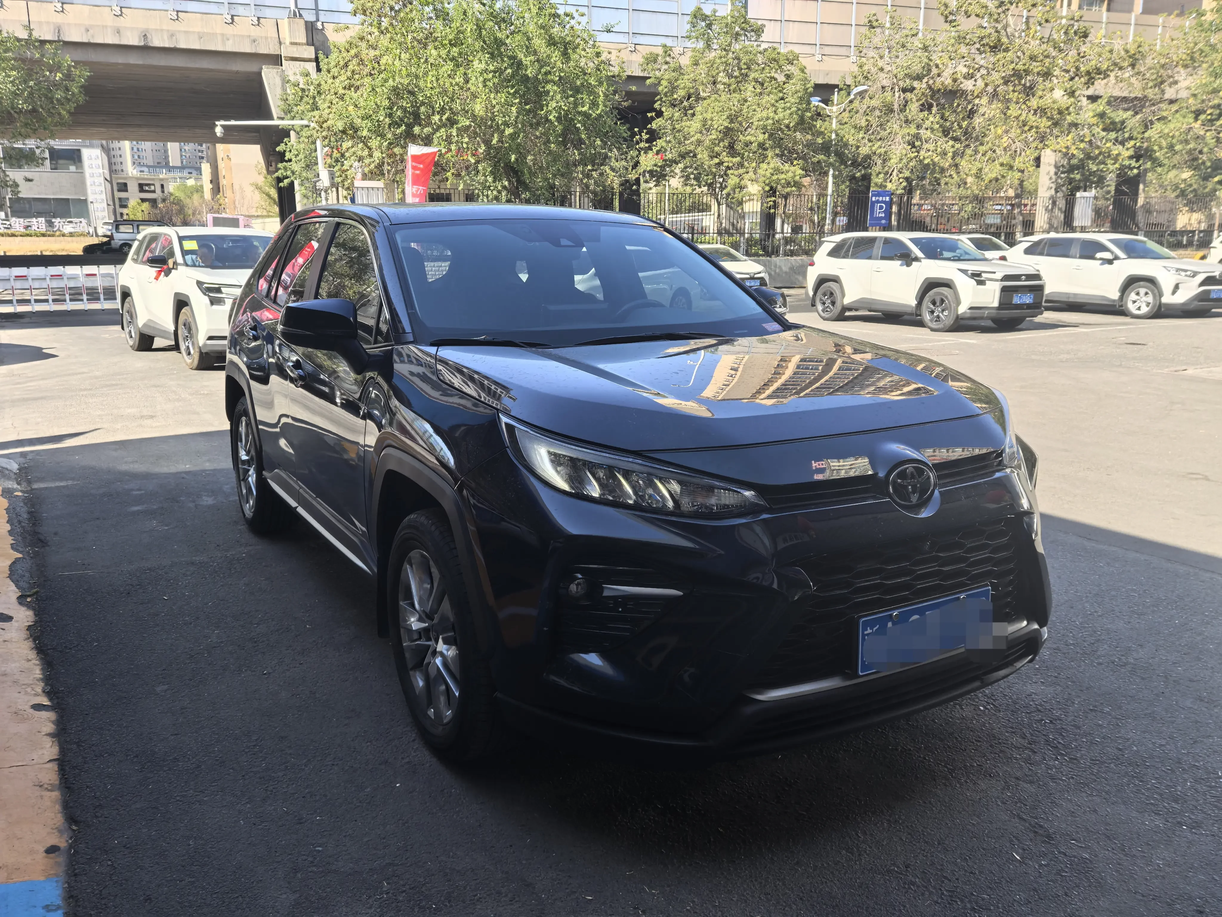 Toyota Willanda