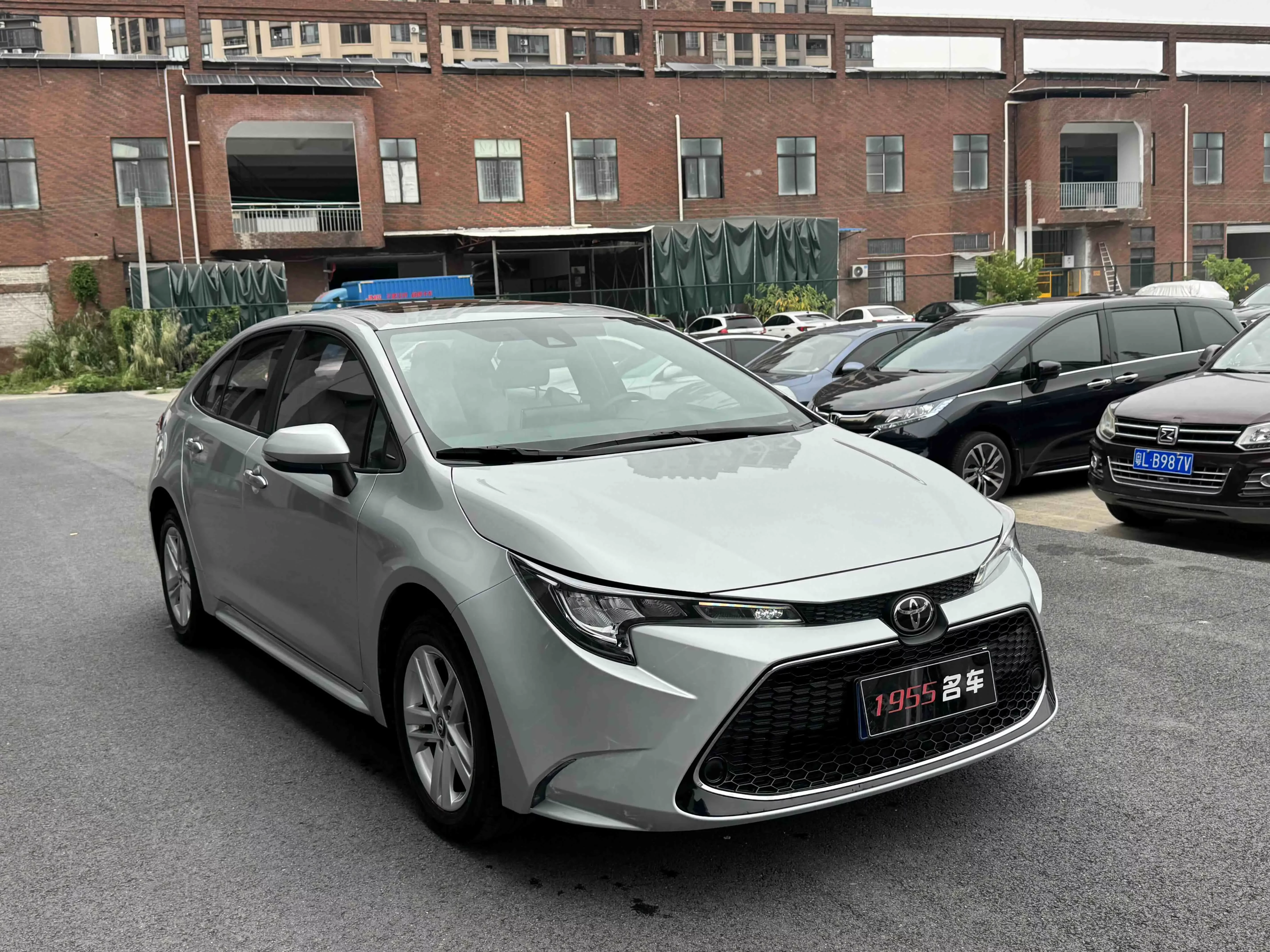 Toyota Levin