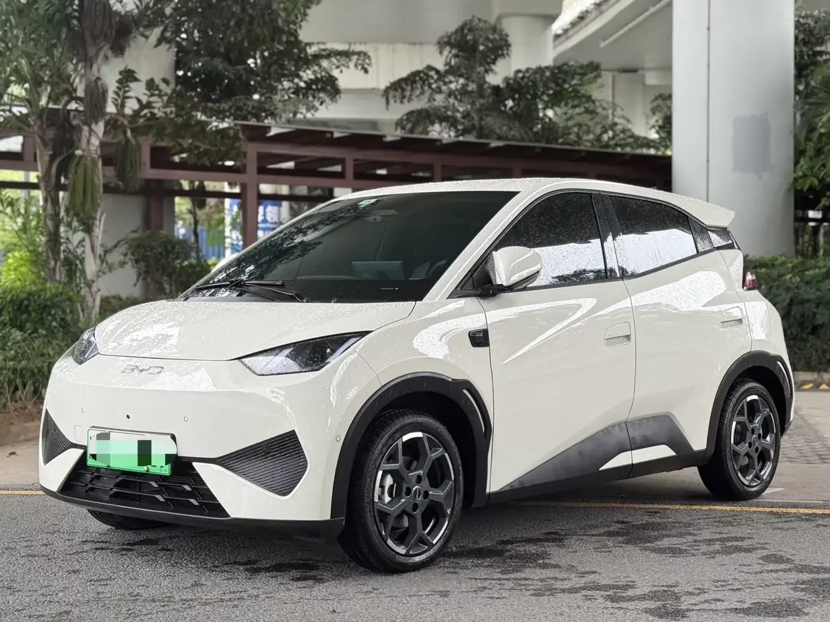 BYD seagull