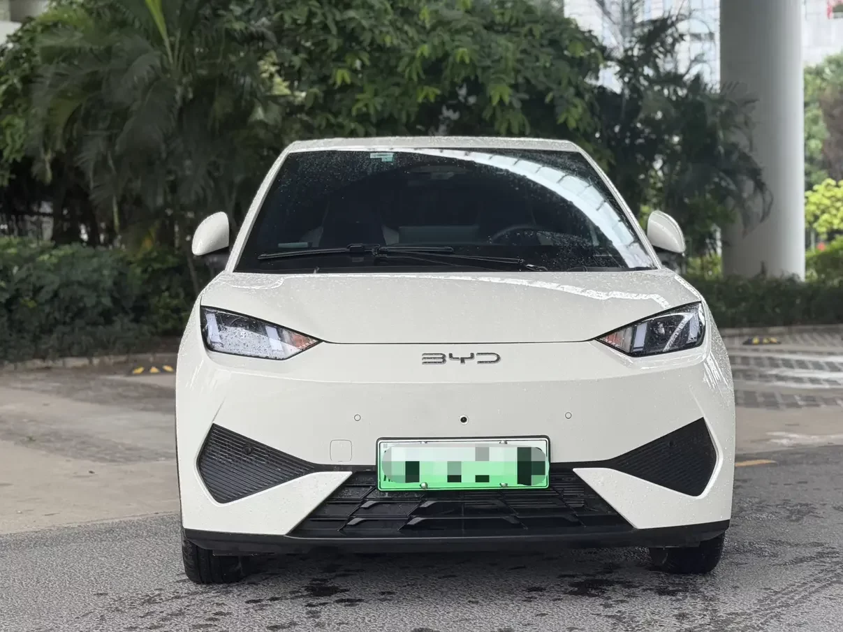 BYD seagull