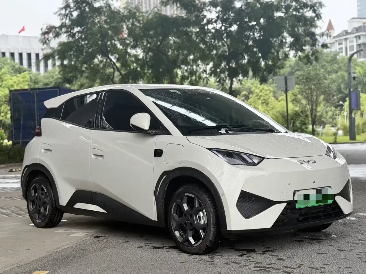 BYD seagull