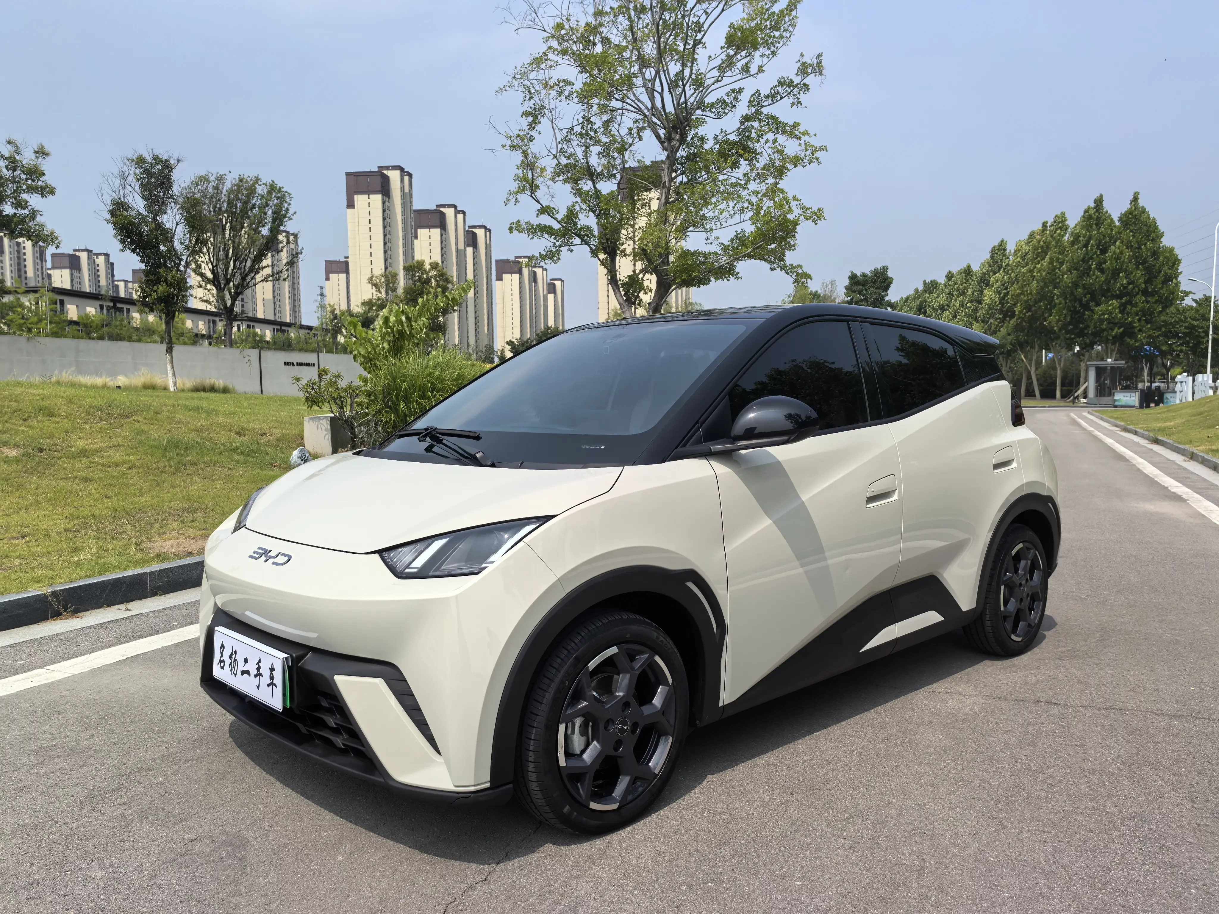 BYD seagull
