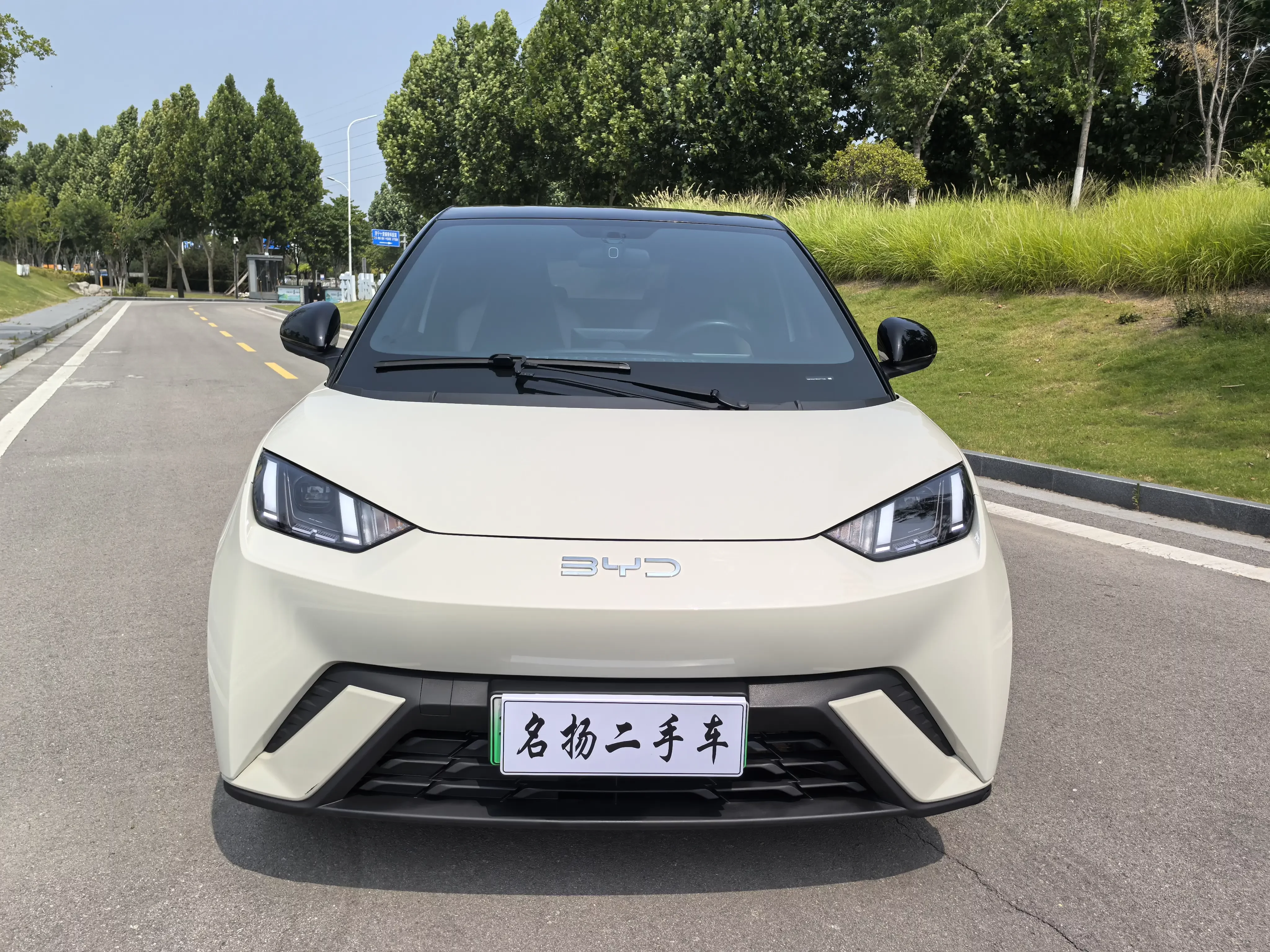 BYD seagull