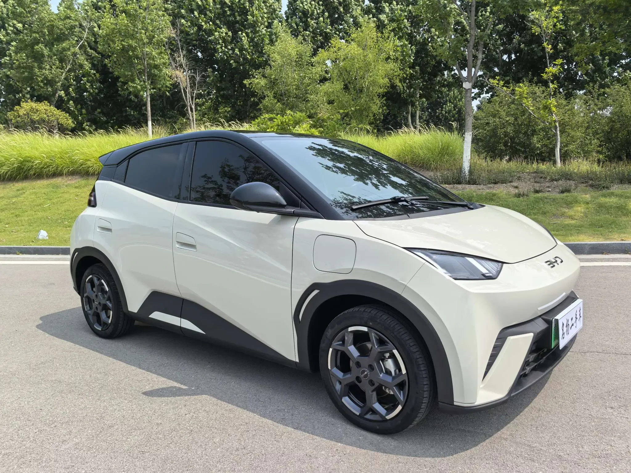 BYD seagull