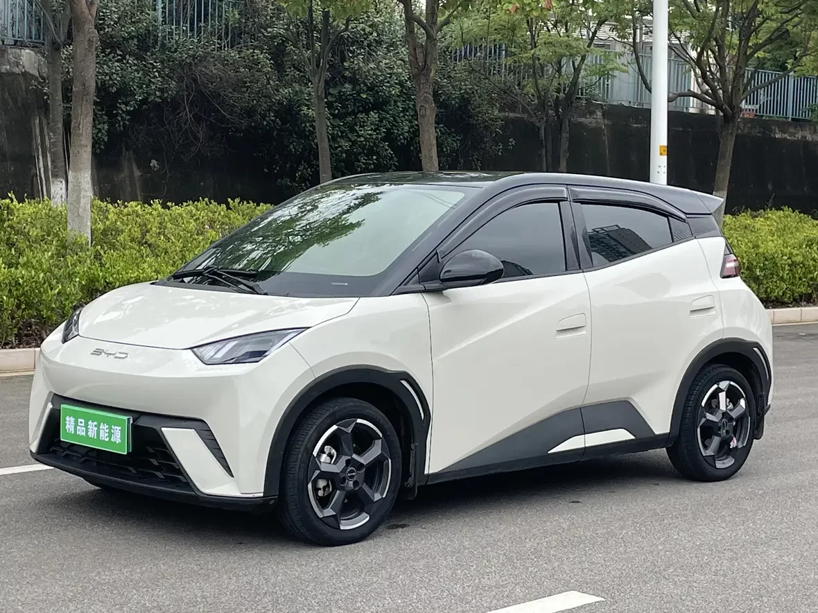 BYD seagull