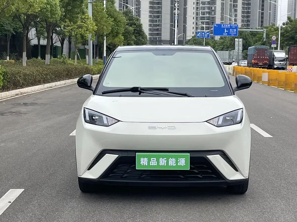 BYD seagull