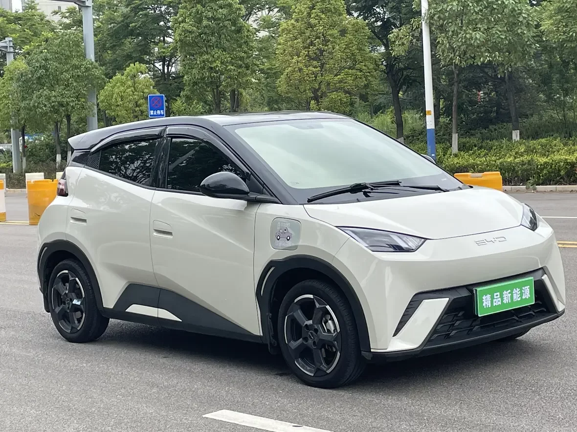 BYD seagull