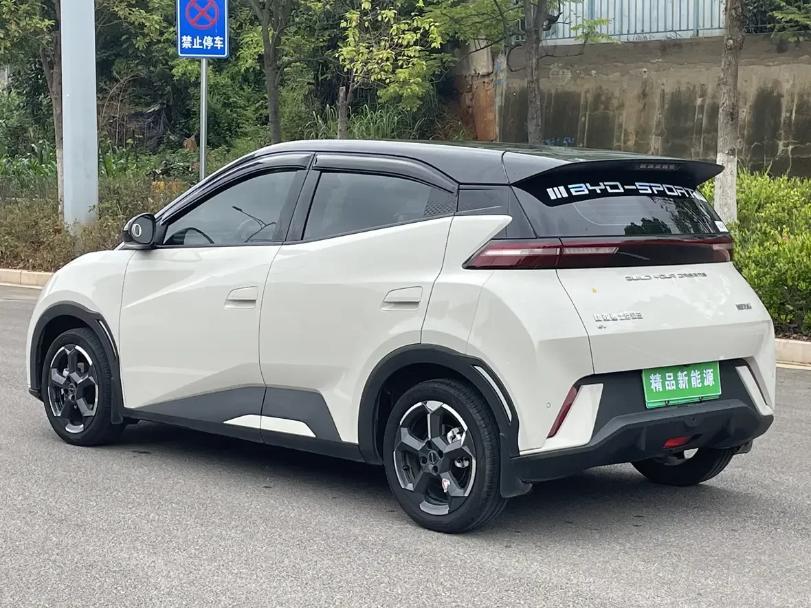 BYD seagull