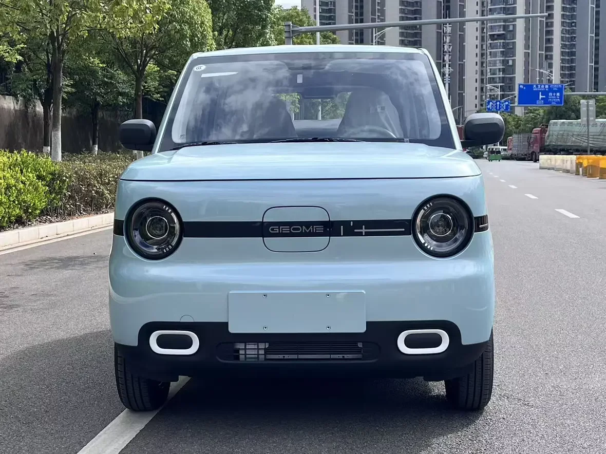 Geely panda