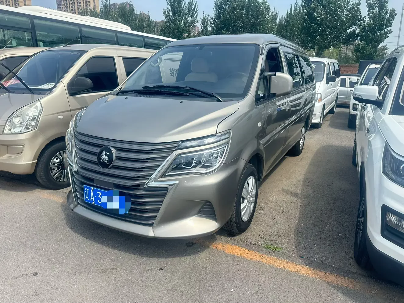 Forthing Lingzhi