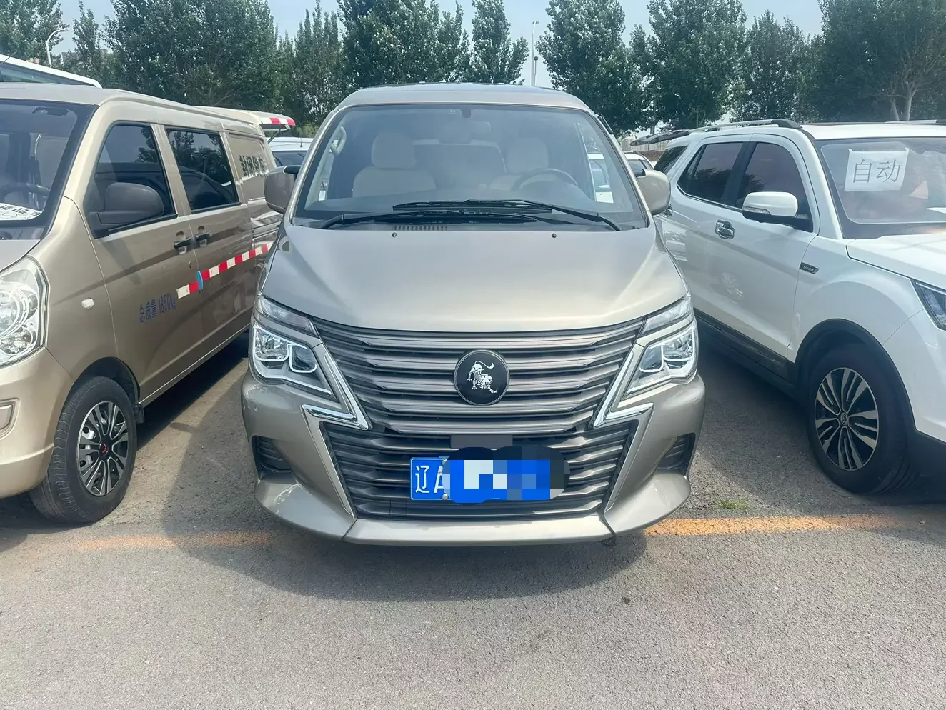 Forthing Lingzhi