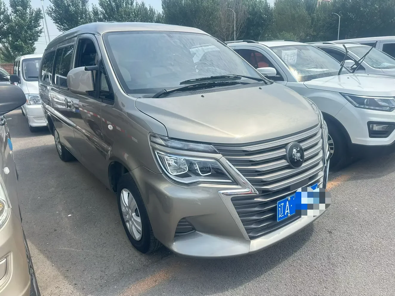 Forthing Lingzhi