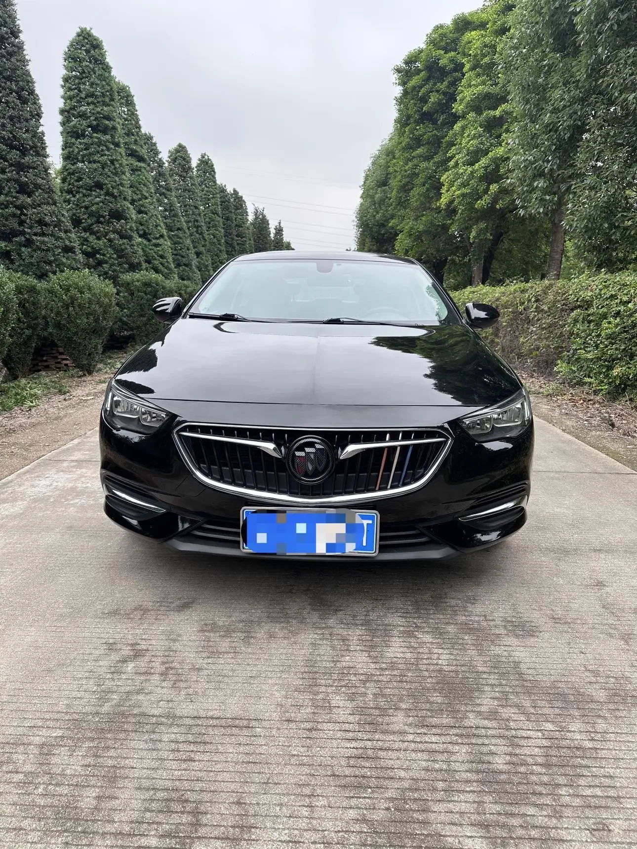 Buick Majesty