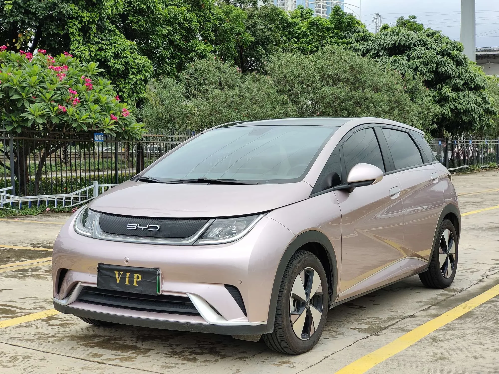 BYD dolphin