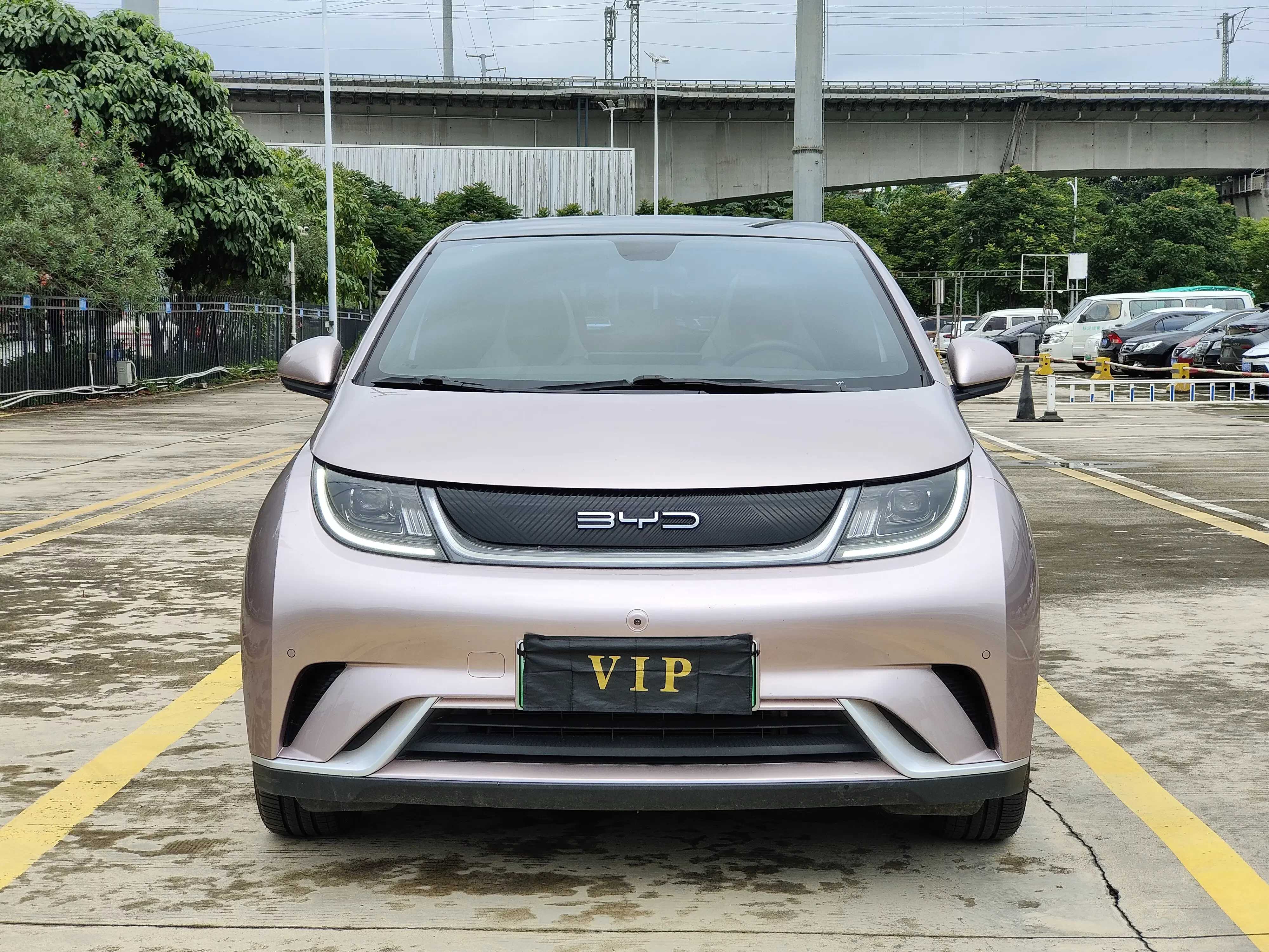 BYD dolphin