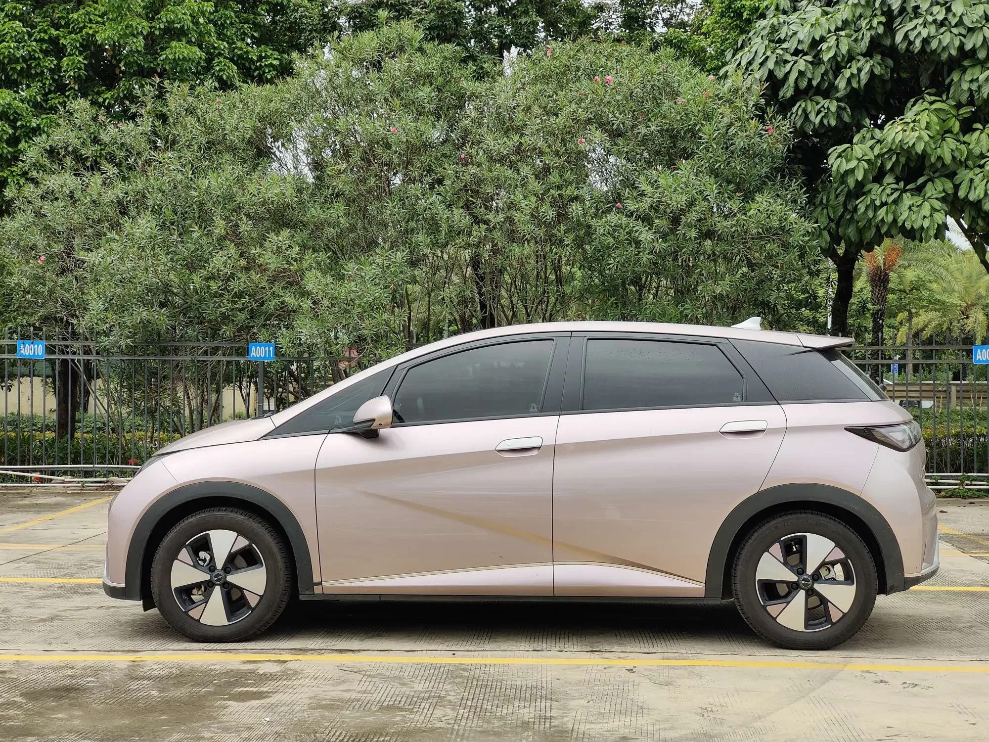BYD dolphin