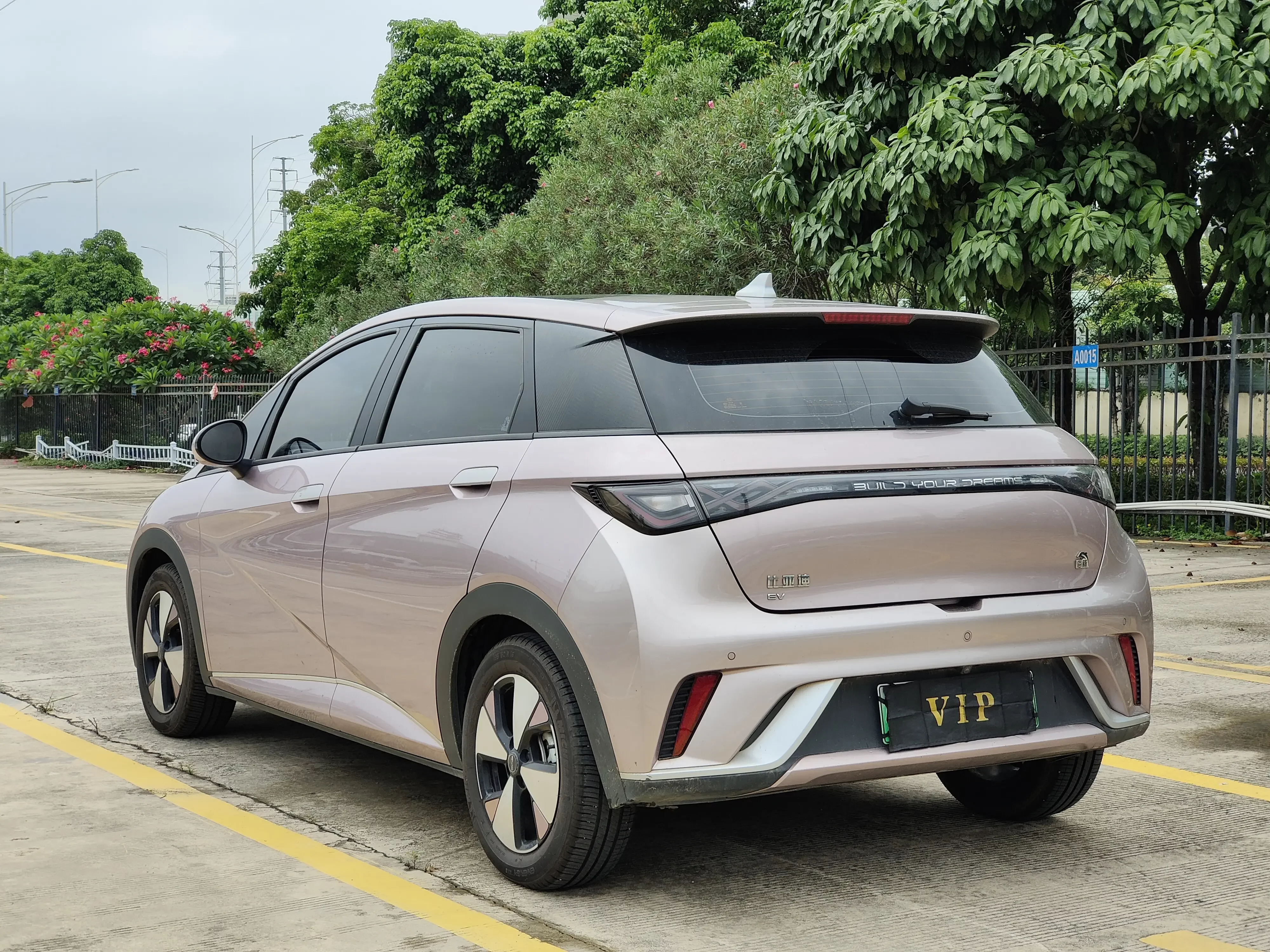 BYD dolphin