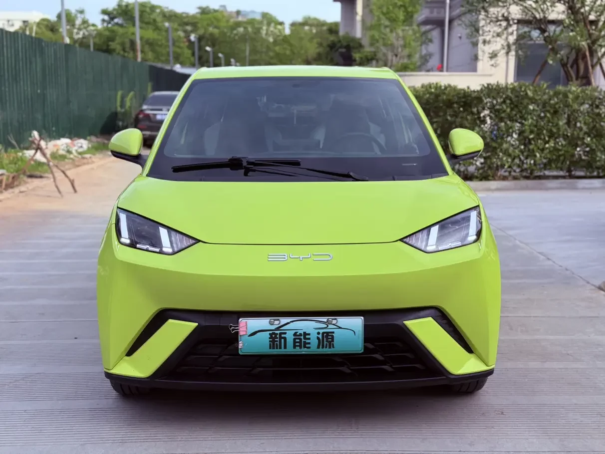 BYD seagull