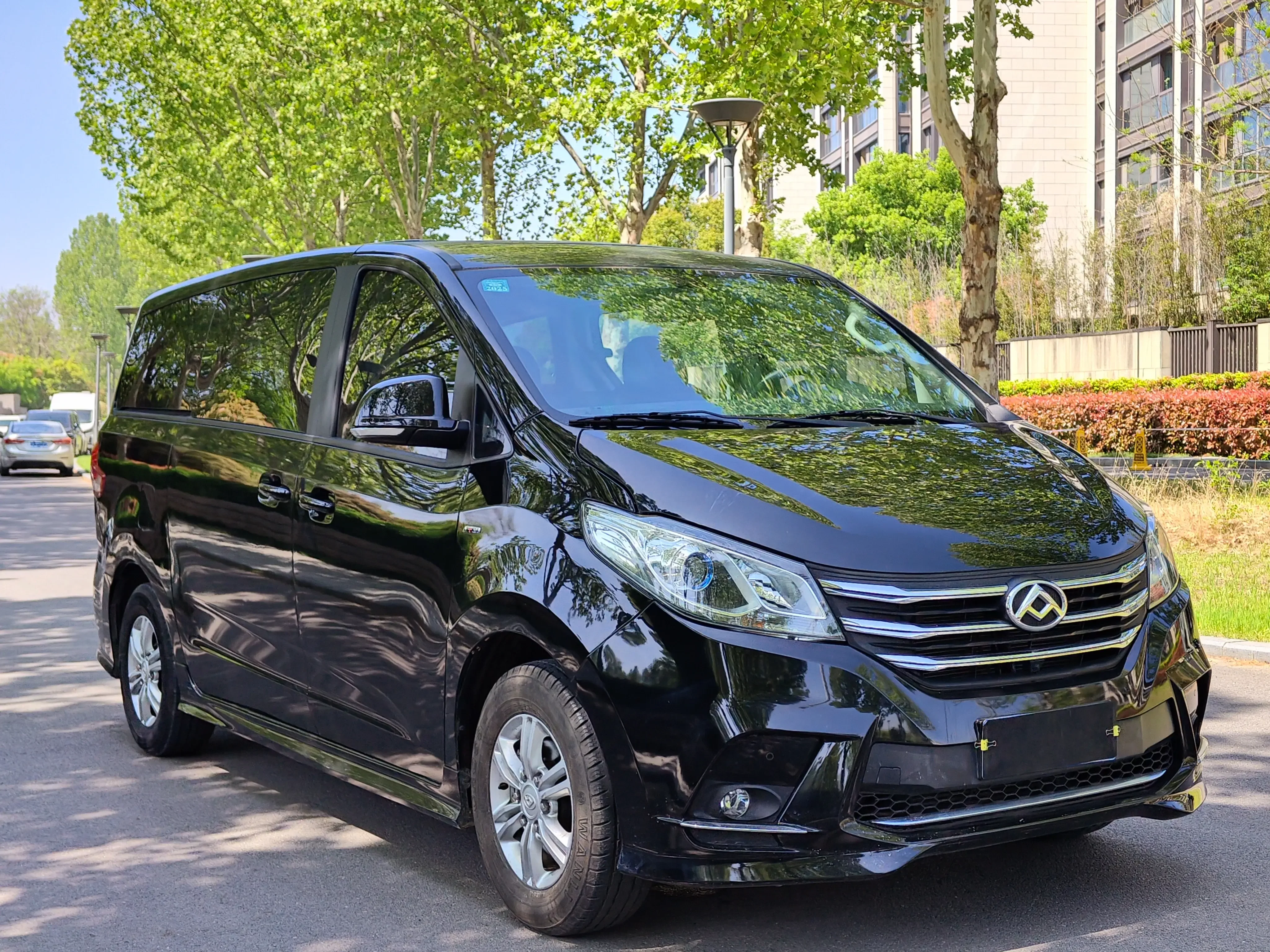 Datong Maxus G10