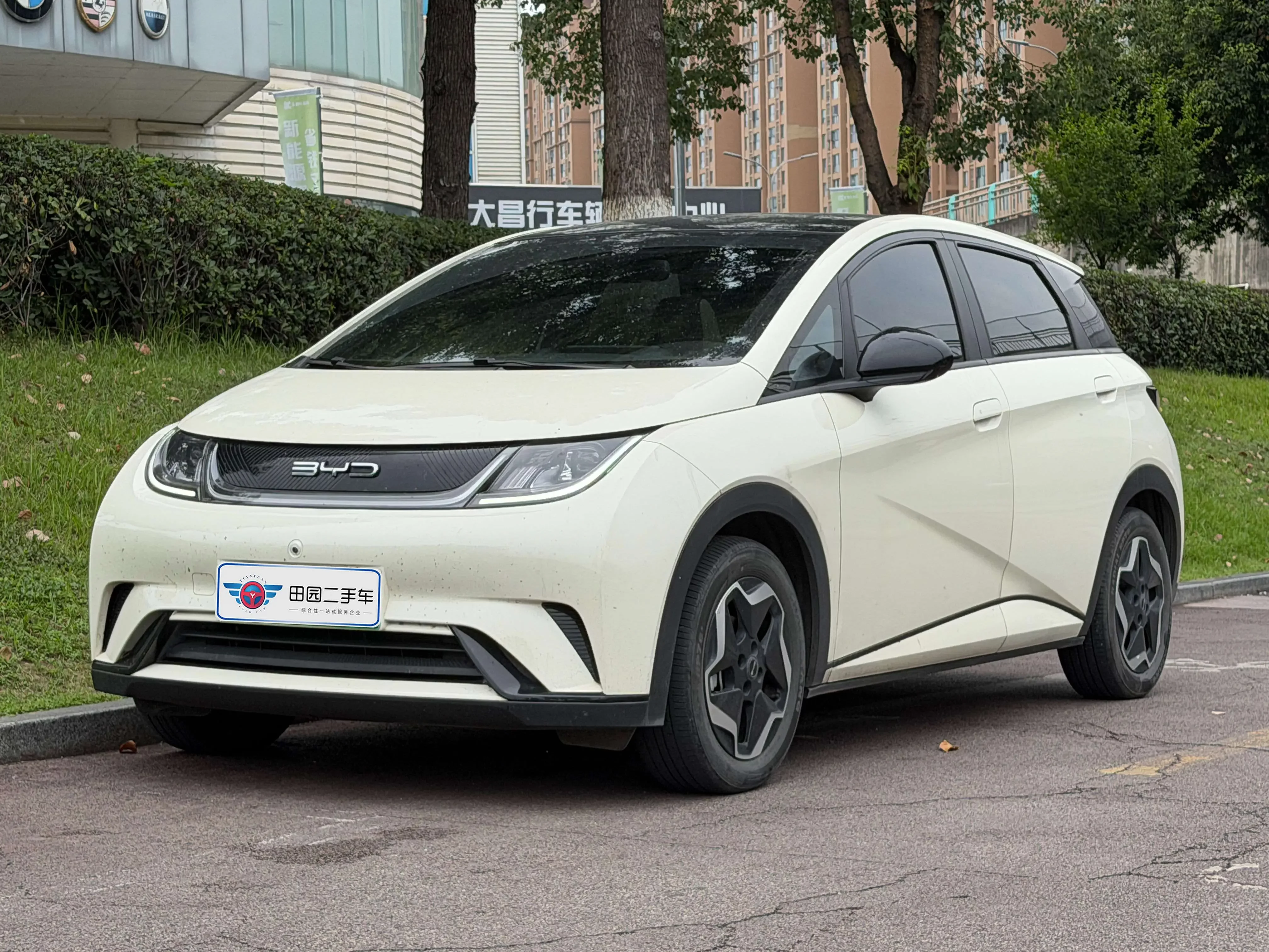 BYD dolphin