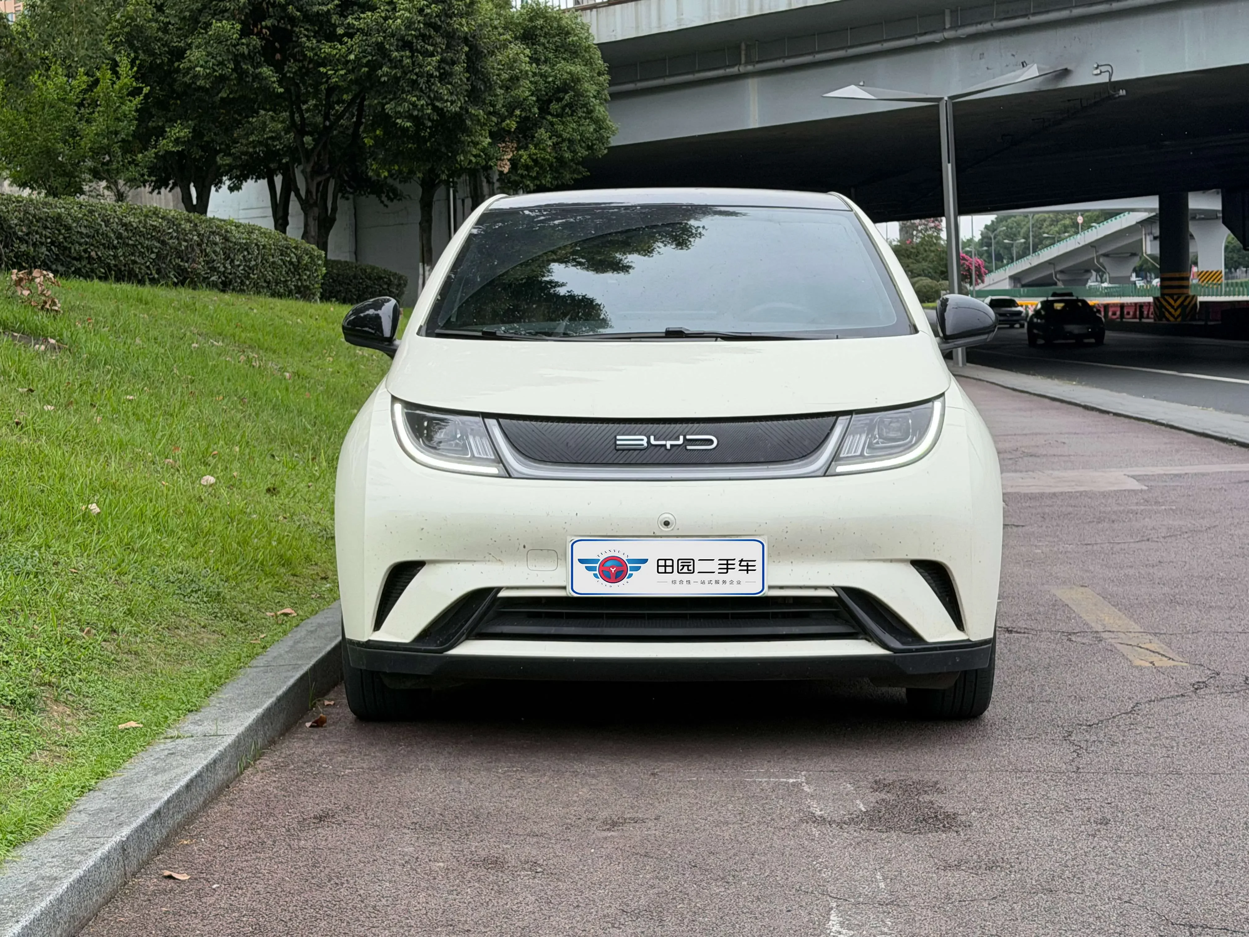 BYD dolphin